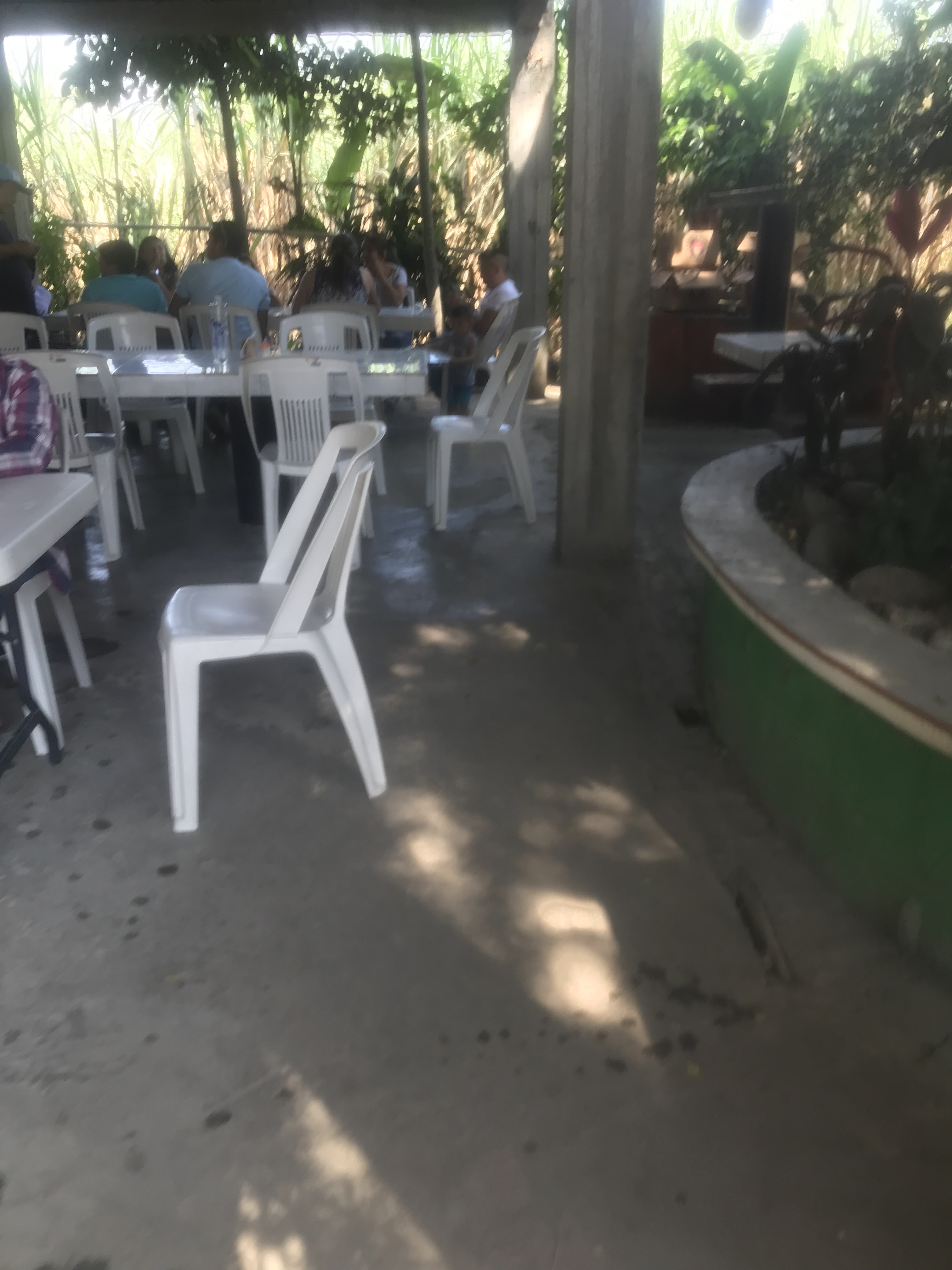 palapa campo verde ( frente balneario "las estacas") image 1