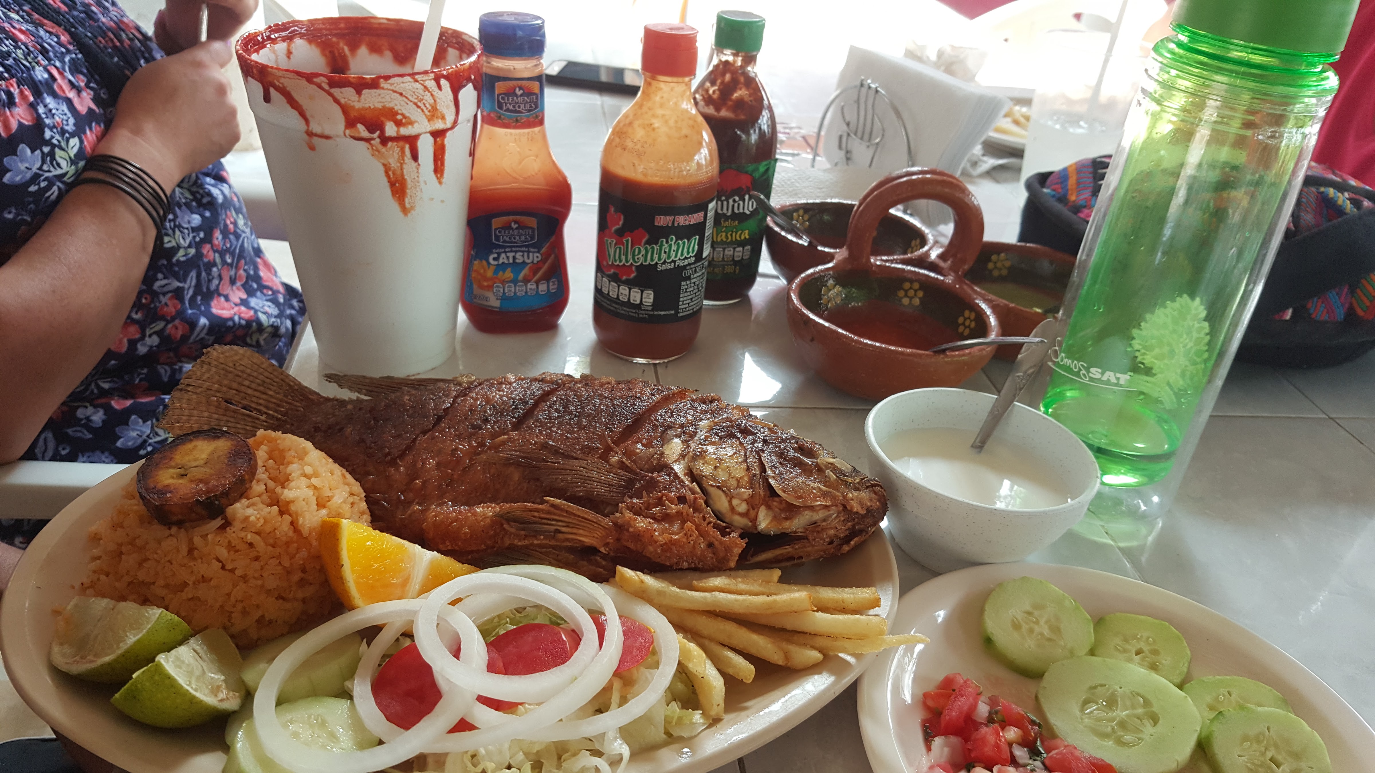 palapa campo verde ( frente balneario "las estacas") image 2