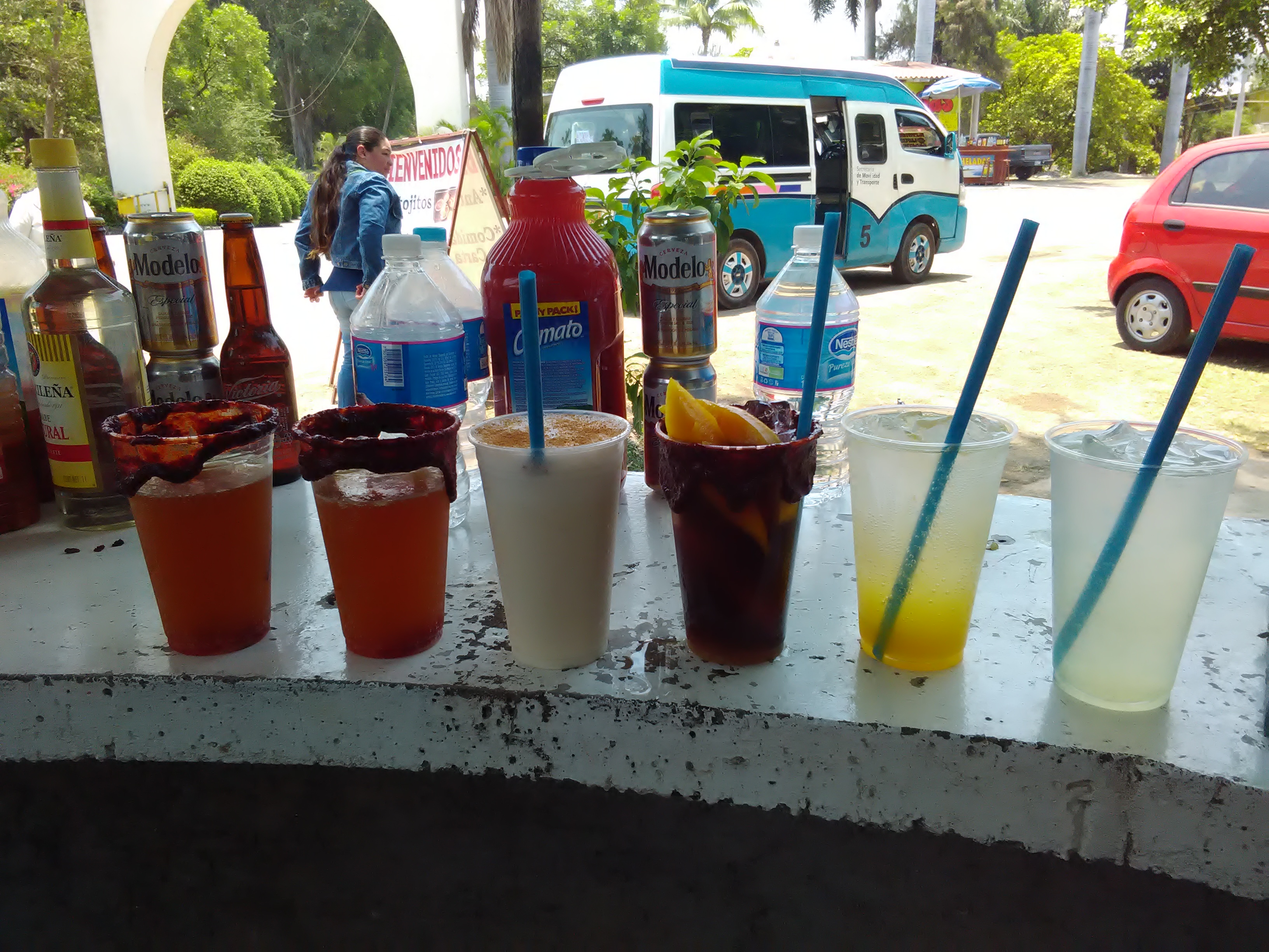 palapa campo verde ( frente balneario "las estacas") image 5