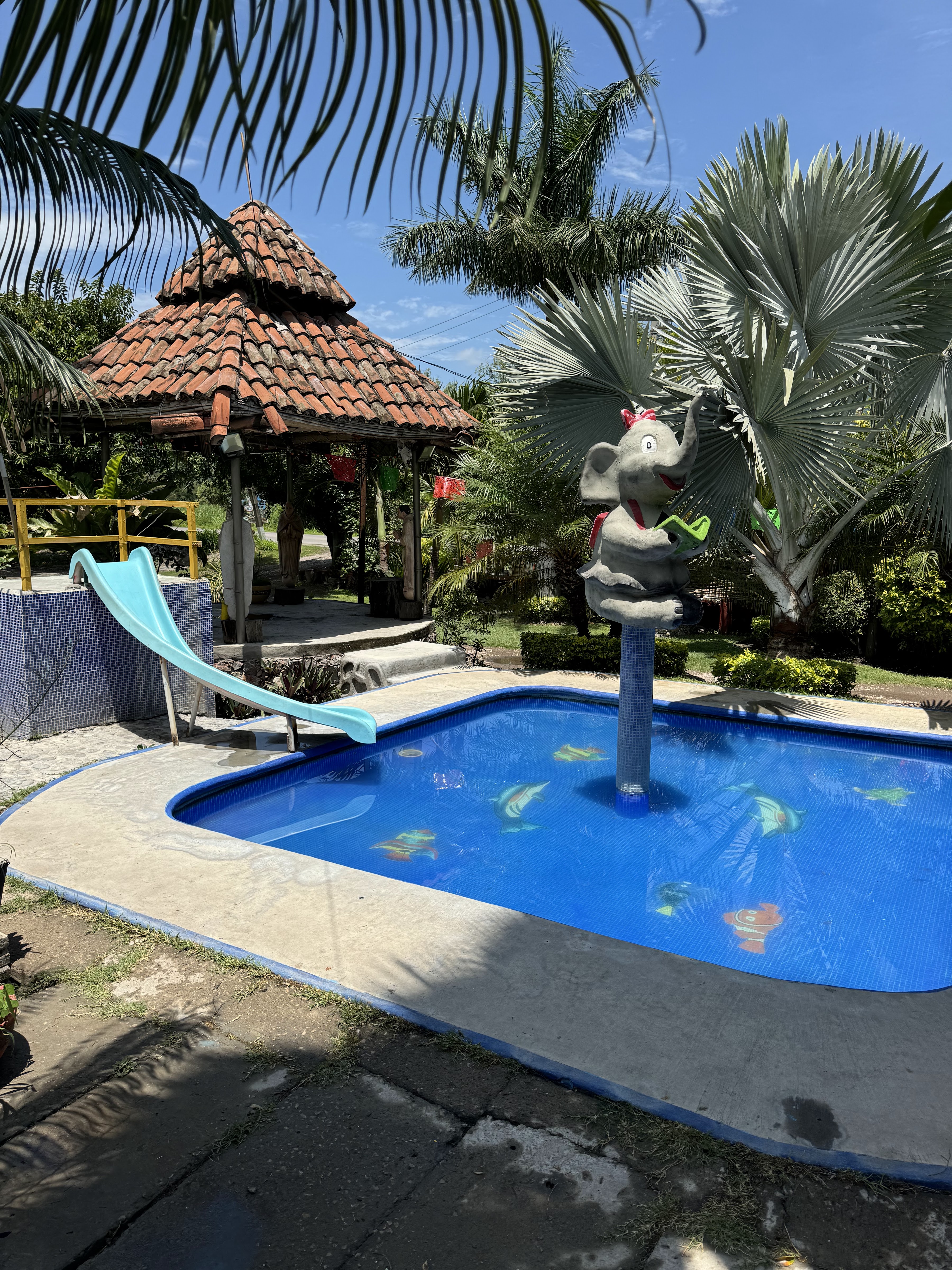 Restaurant Familiar El Jaripeo image 6