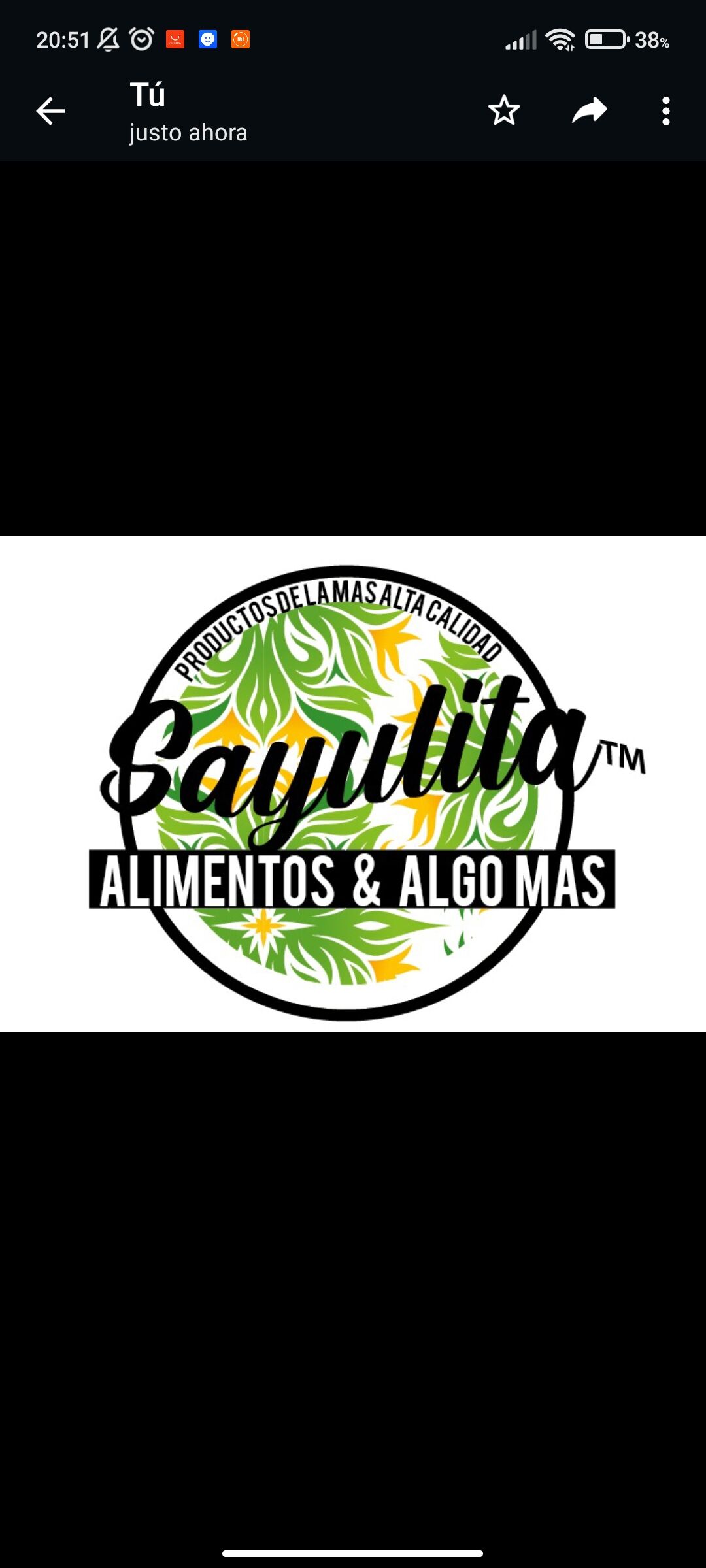 SAYULITA image 7