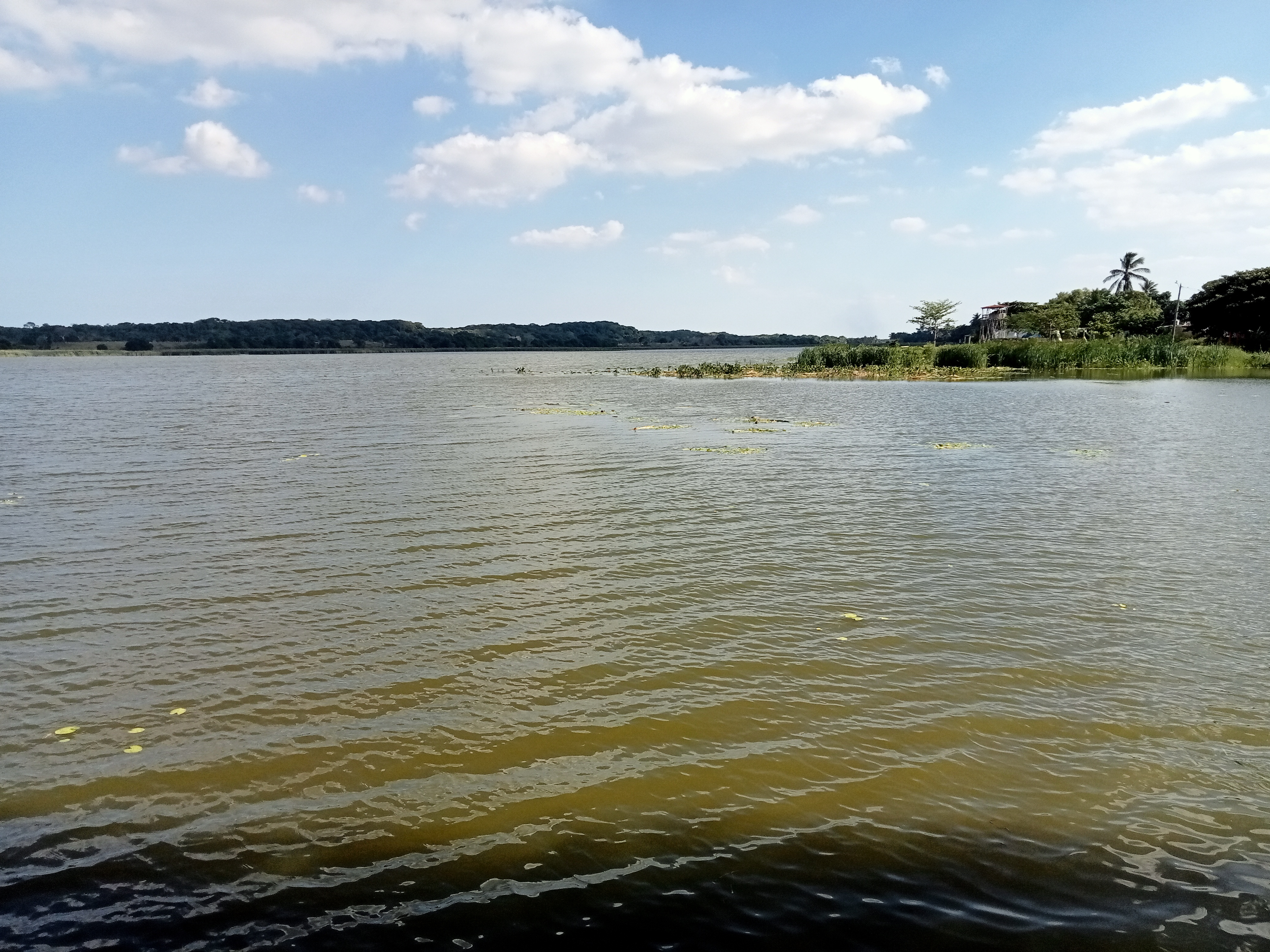 Restaurante Odin image 3