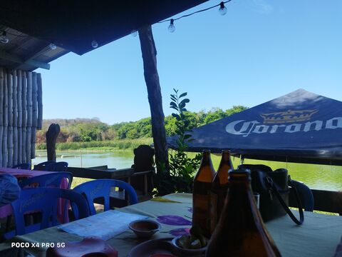 PALAPA YOYIS image 1