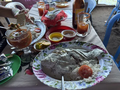 PALAPA YOYIS image 3
