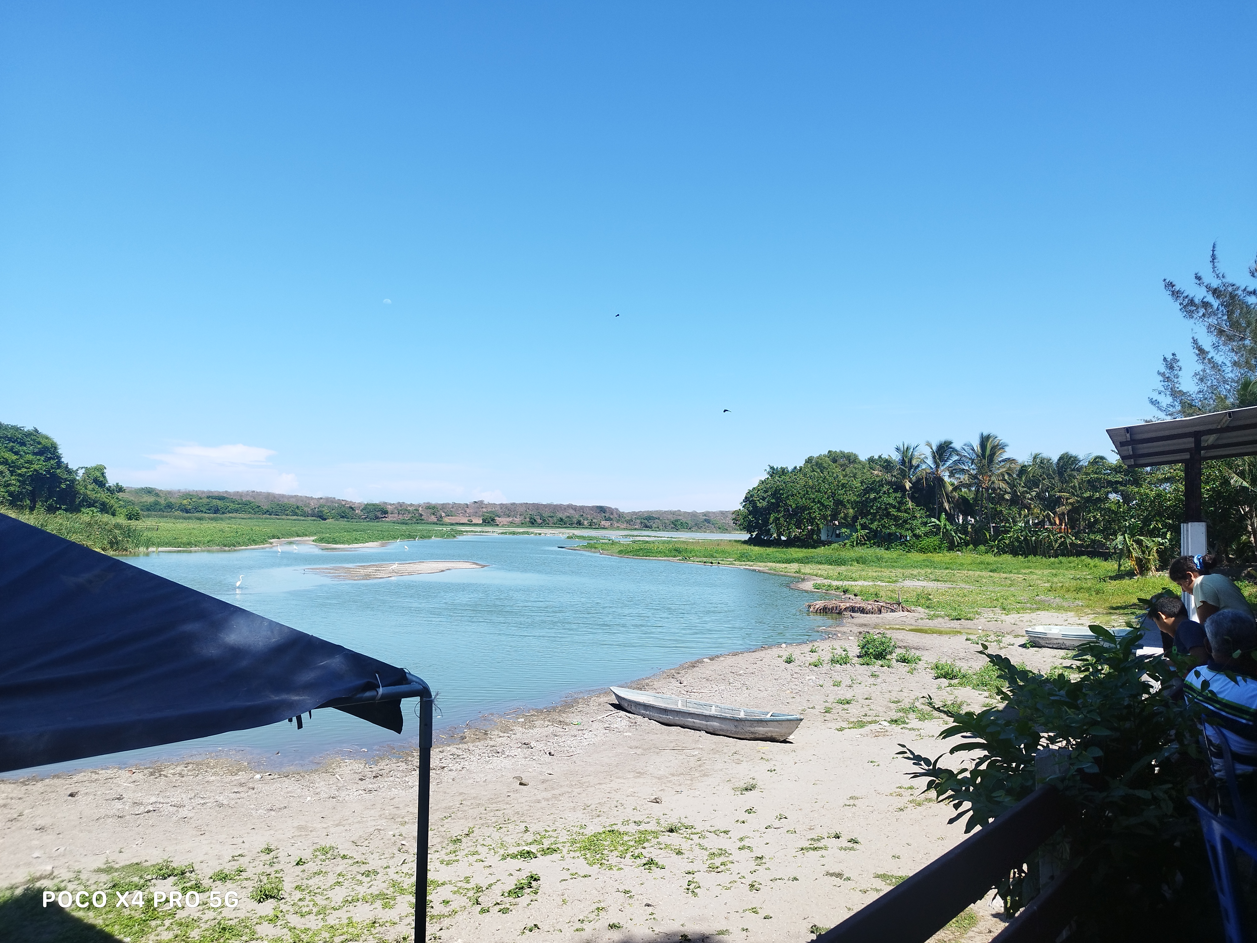 PALAPA YOYIS image 6