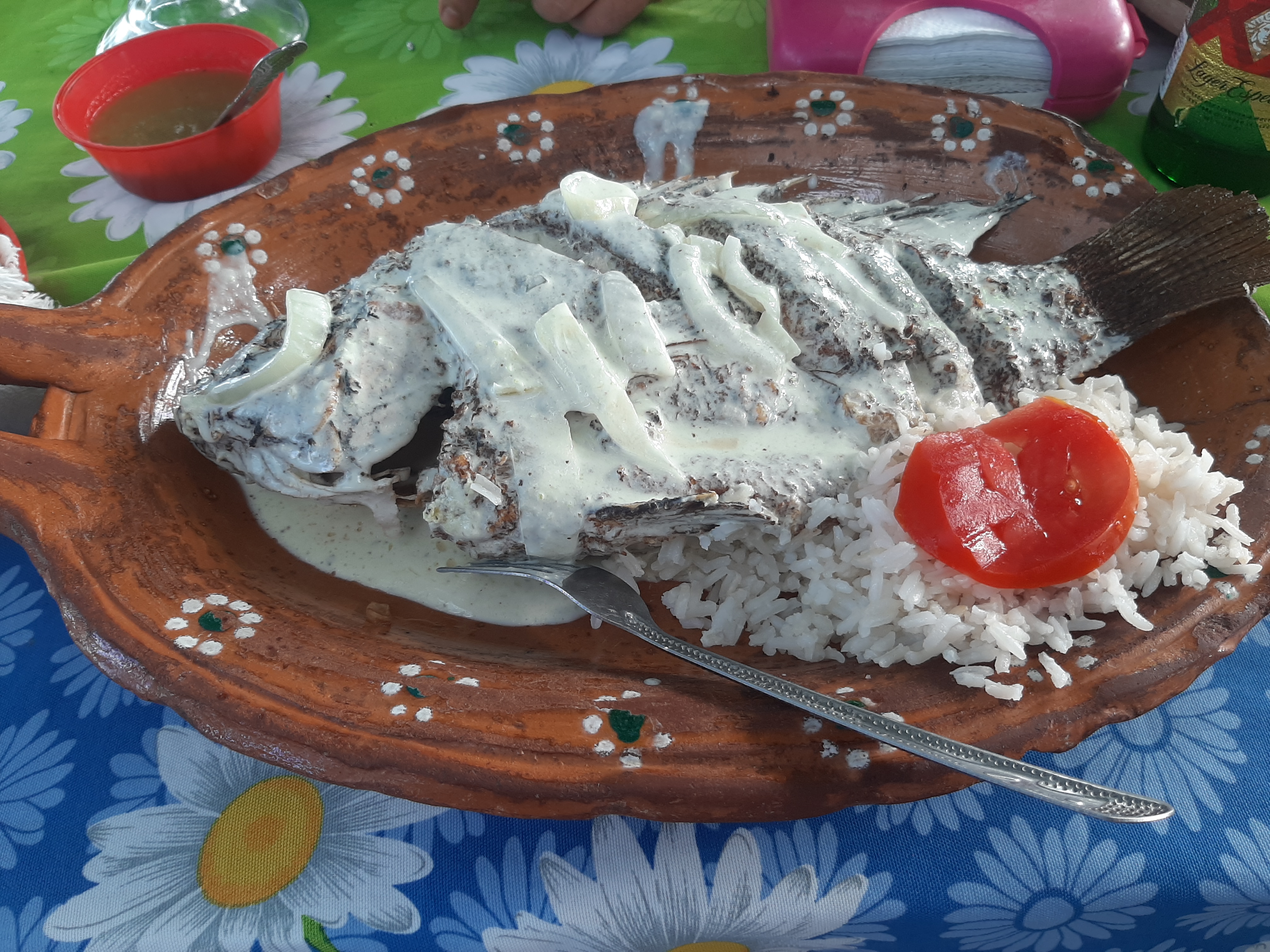 PALAPA YOYIS image 7