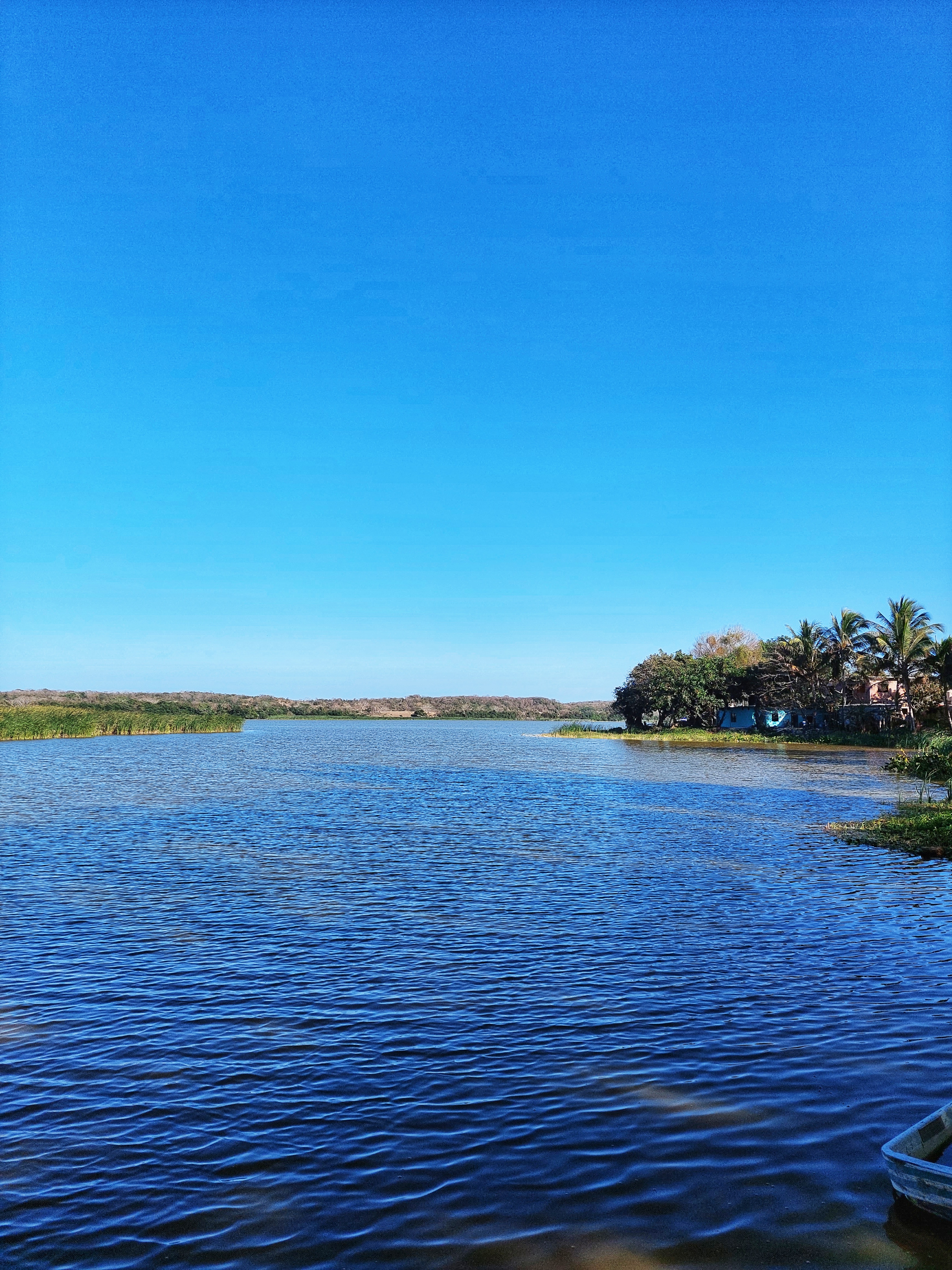 PALAPA YOYIS image 10