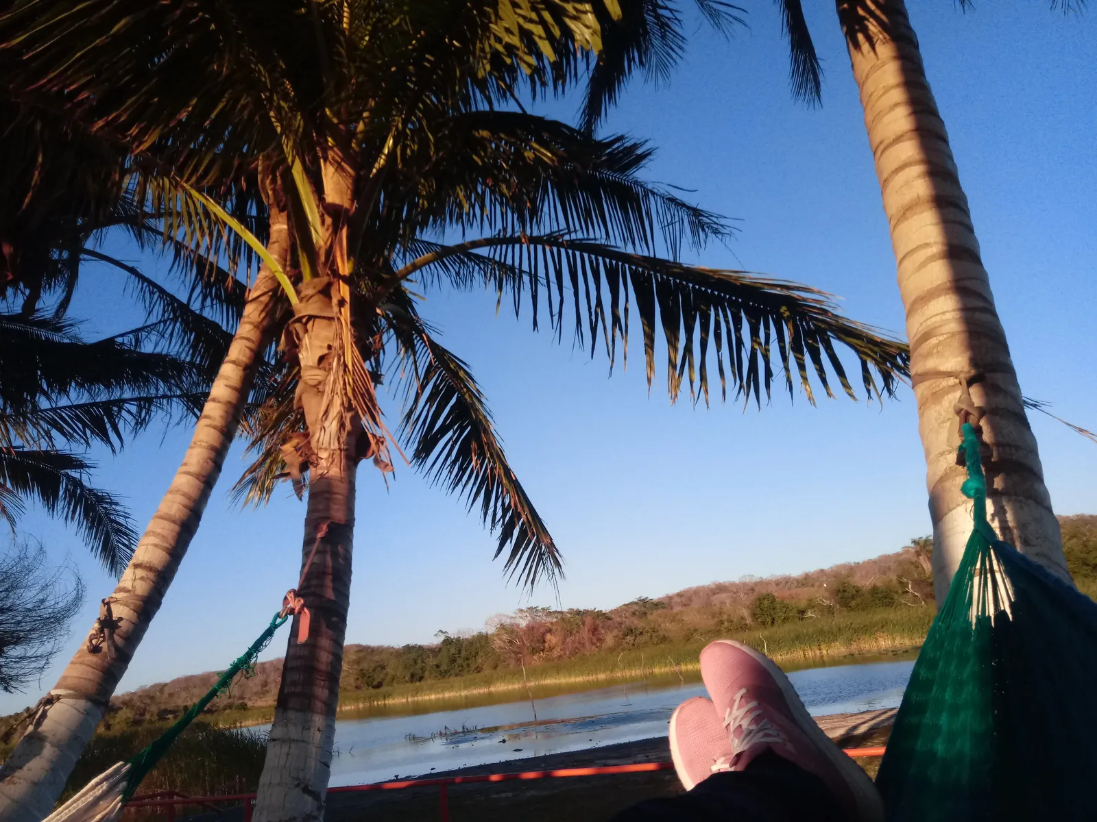 Las Hamacas image 5