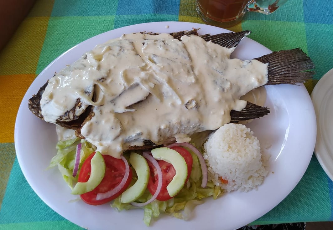 Las Hamacas image 10