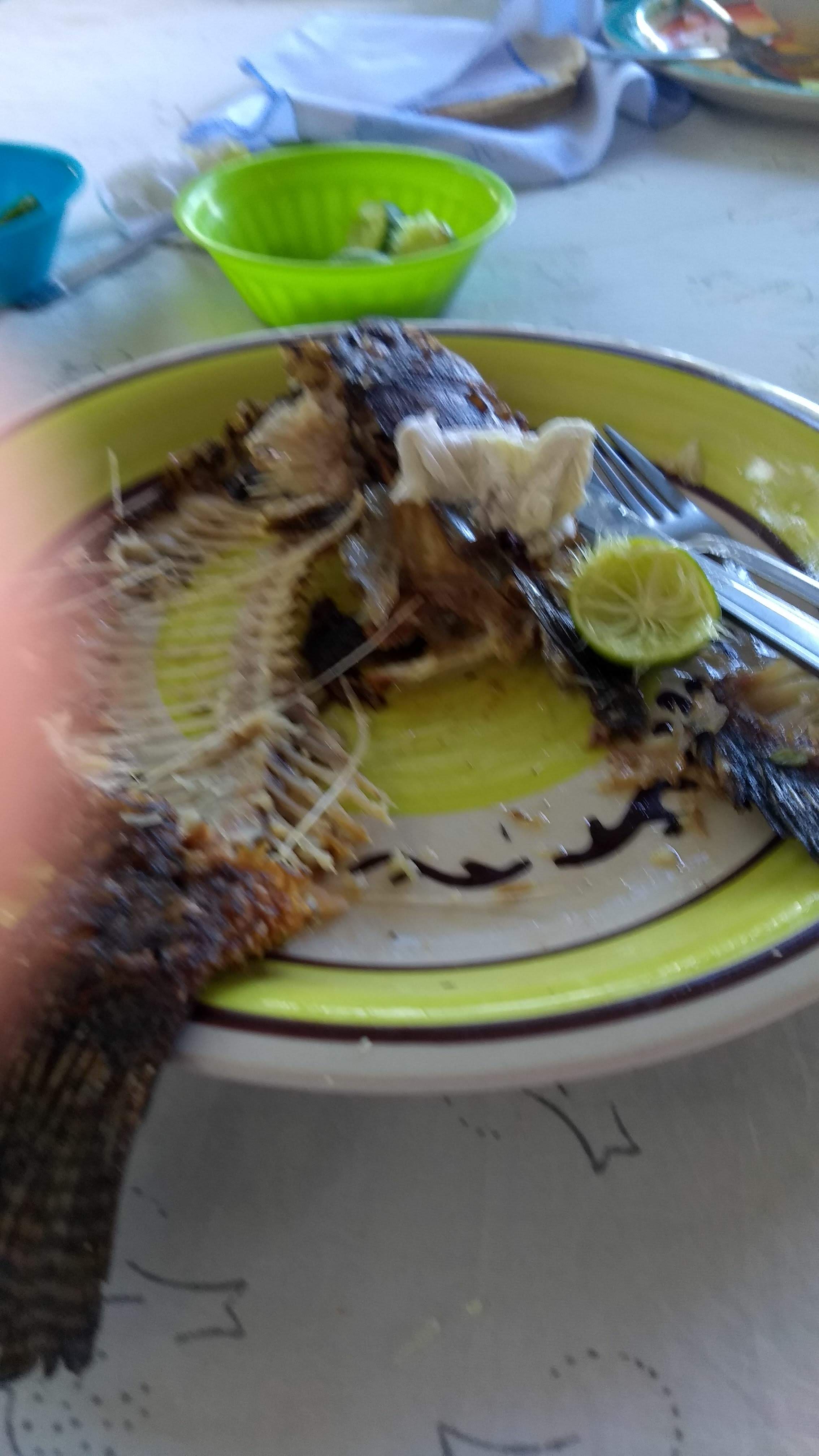 Restaurante doña Yolis image 3