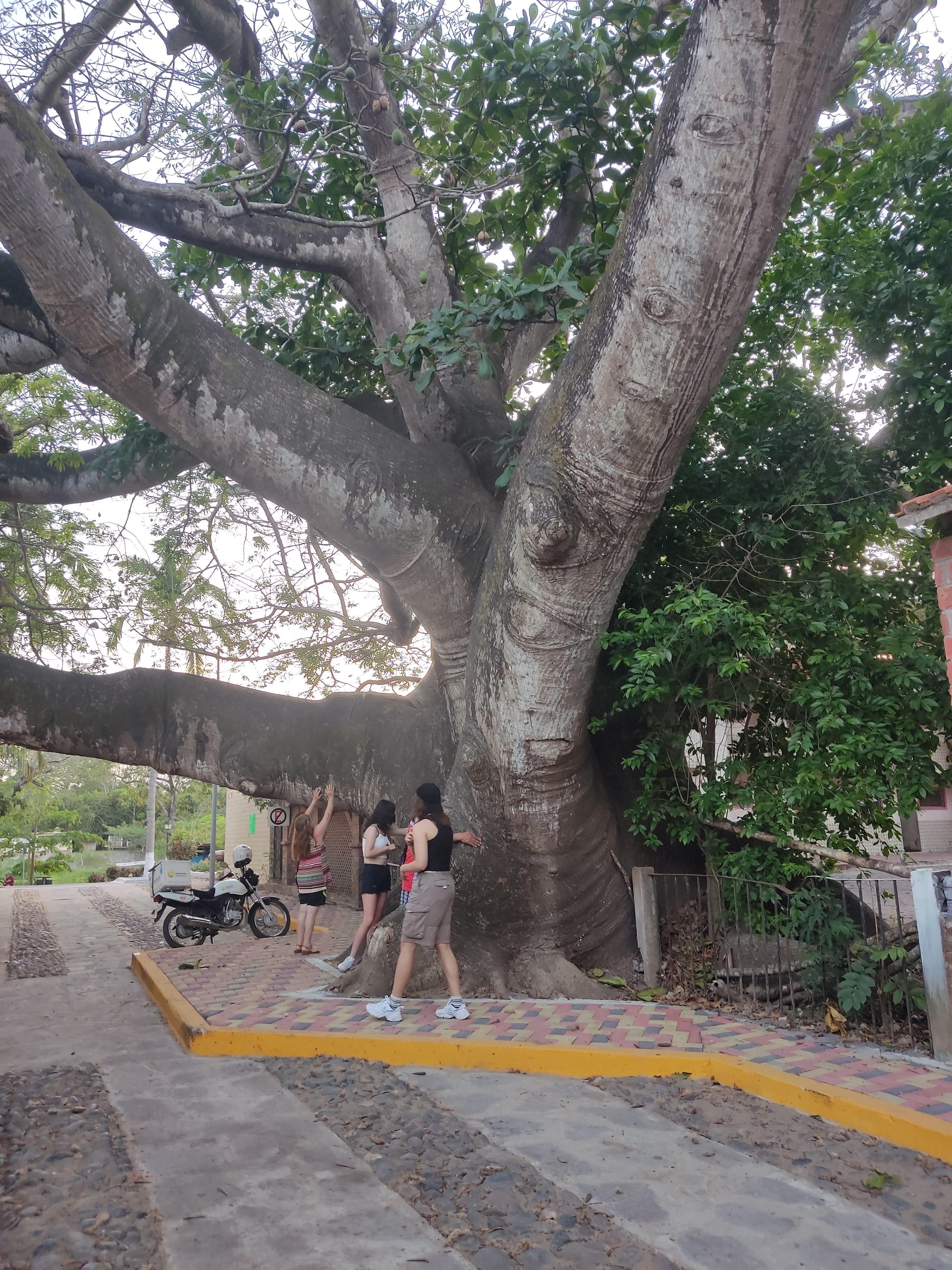 Restaurant Laurita image 8