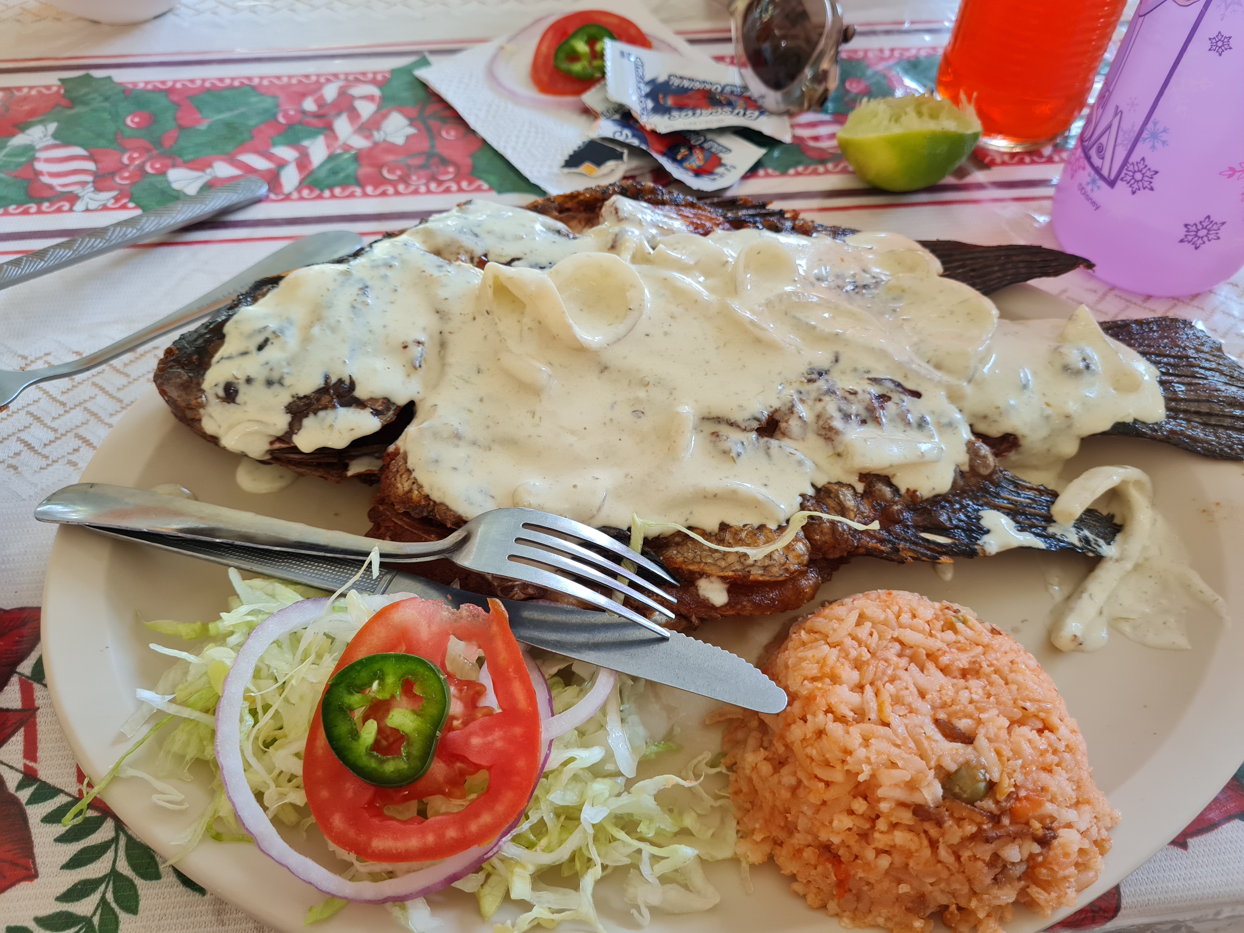 Restaurante Rincon Tropical image 2