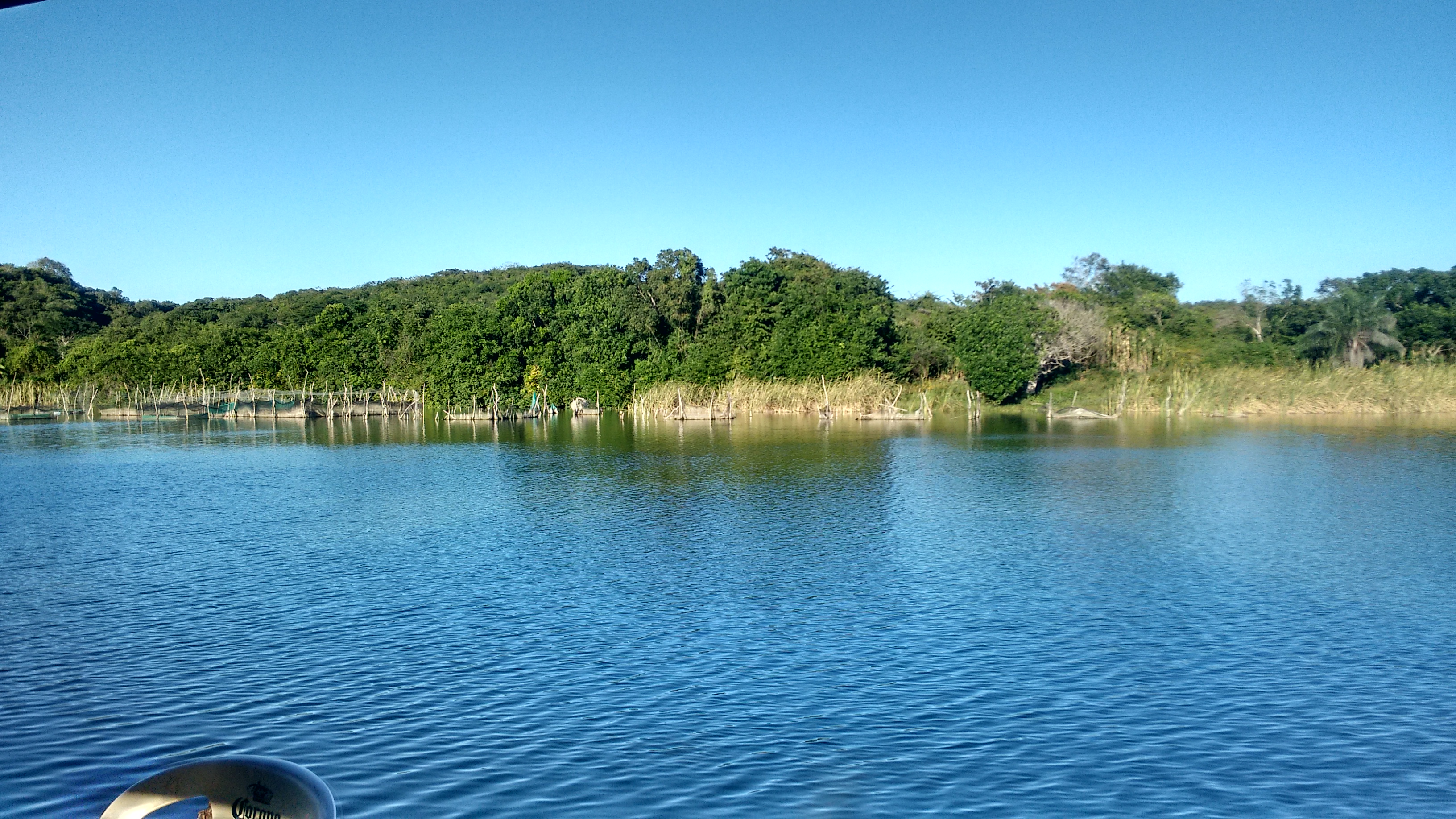 Restaurante Rincon Tropical image 5
