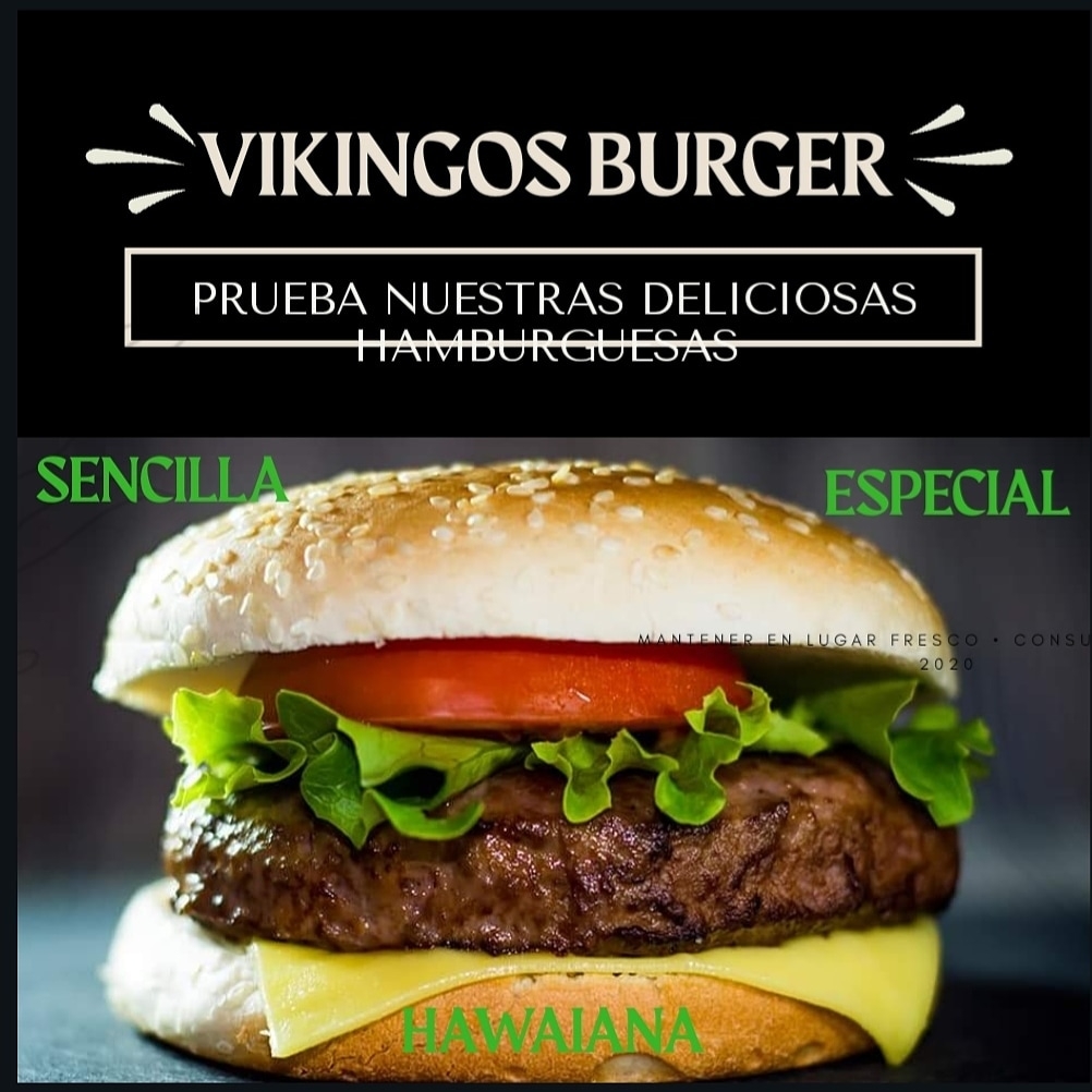 Vikingos Gil image 5