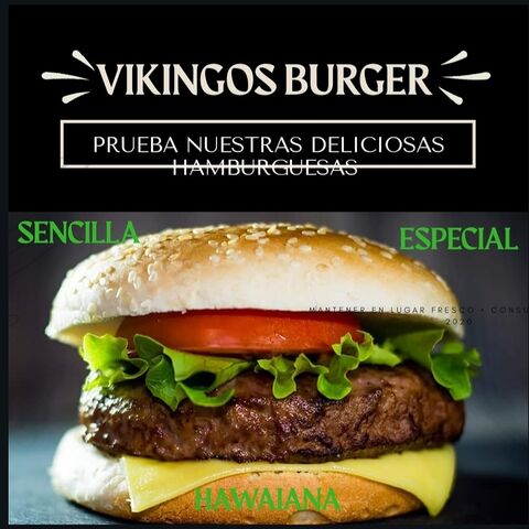 Vikingos Gil image 5