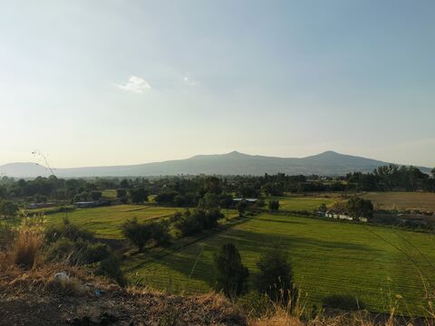 SANTO PEZ image 3