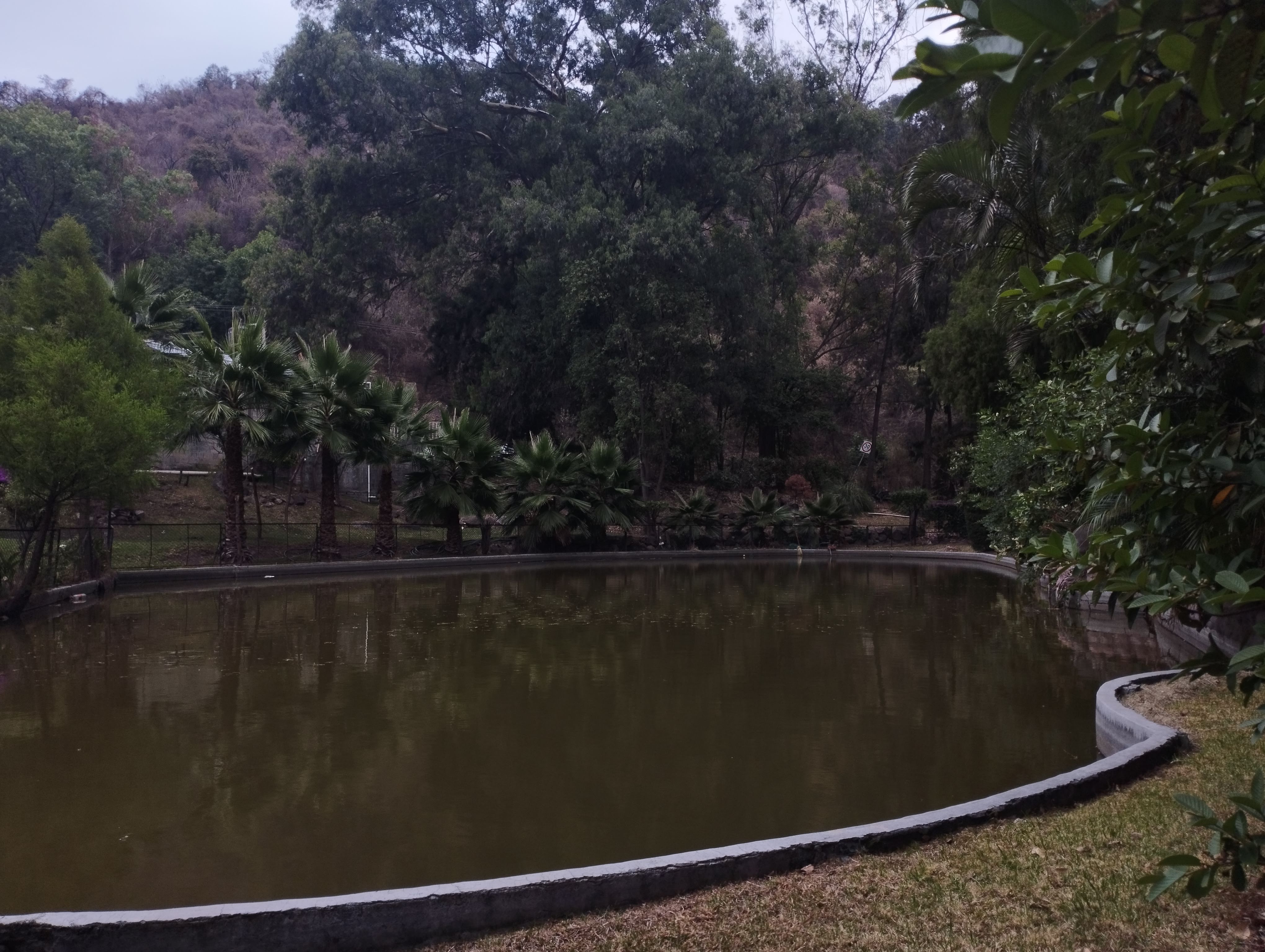 Restaurante El rincón de la Montaña image 8