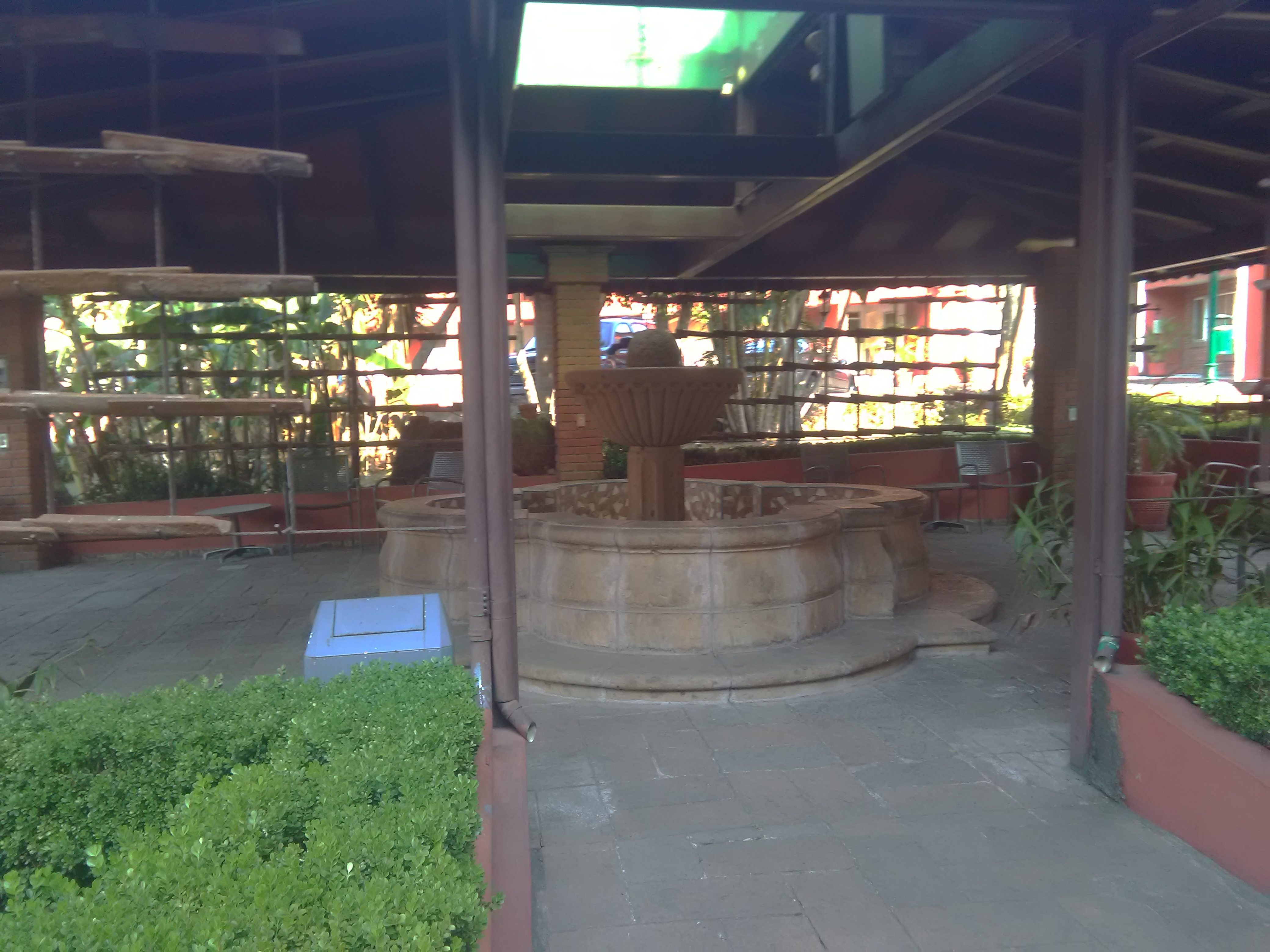 Restaurante-Bar La Terraza image 2