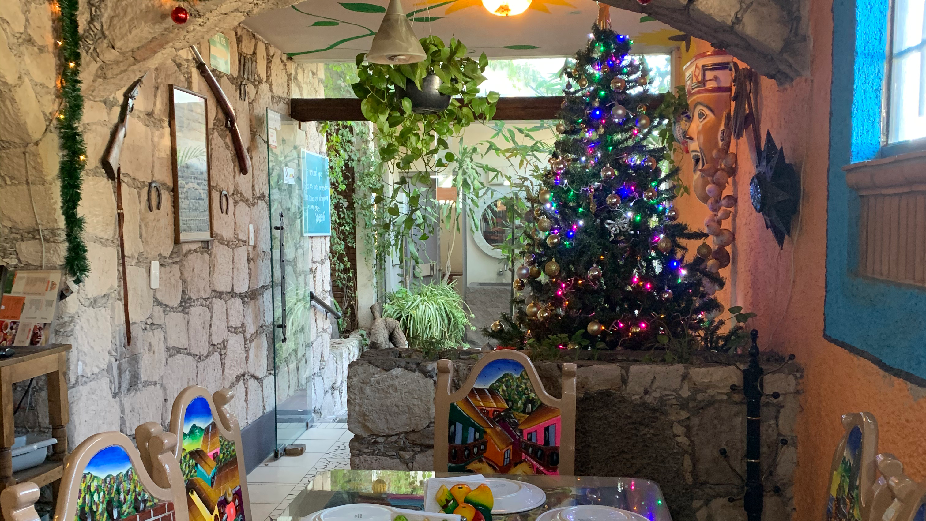 Fonda Marceva image 1