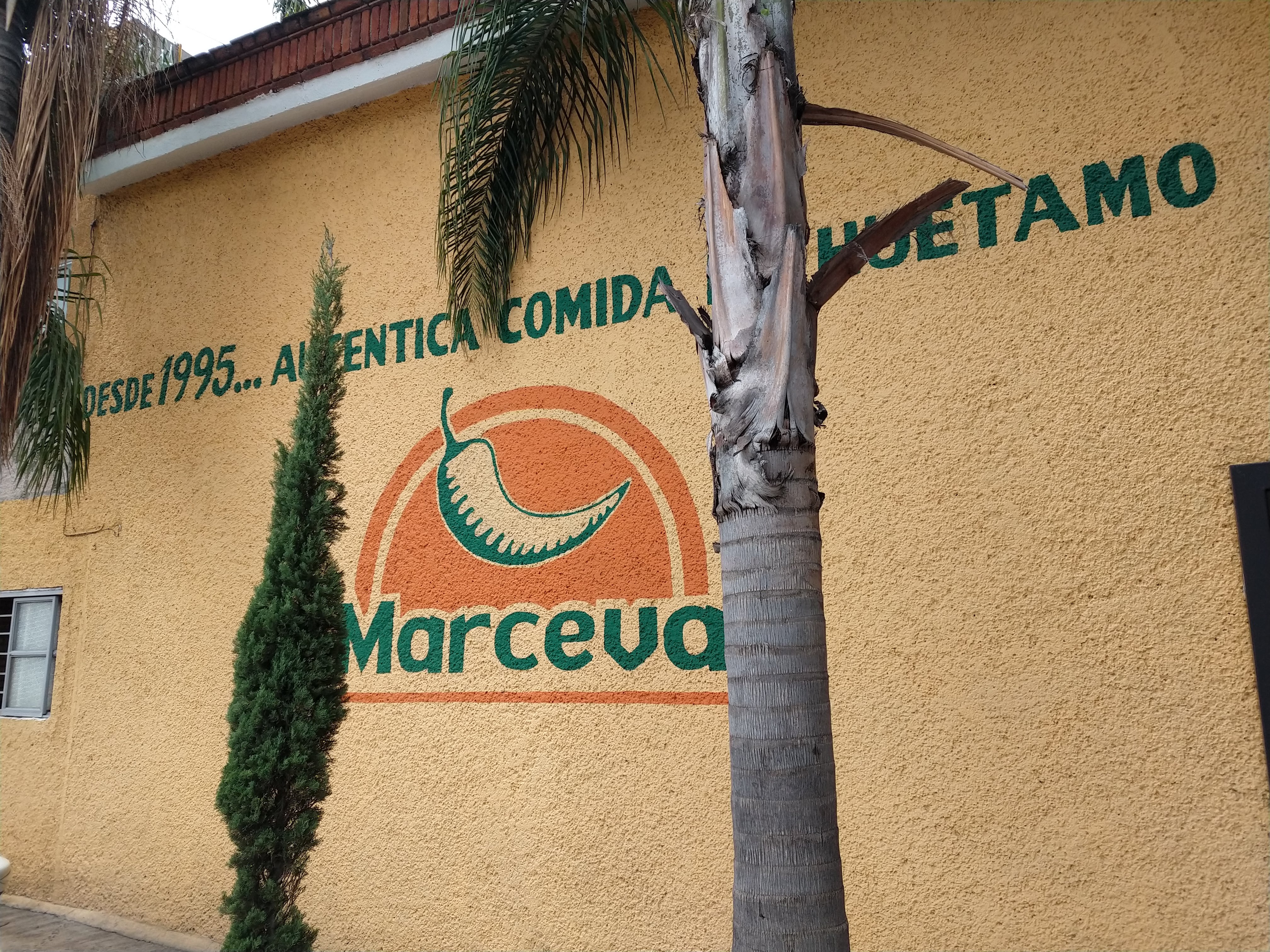 Fonda Marceva image 5