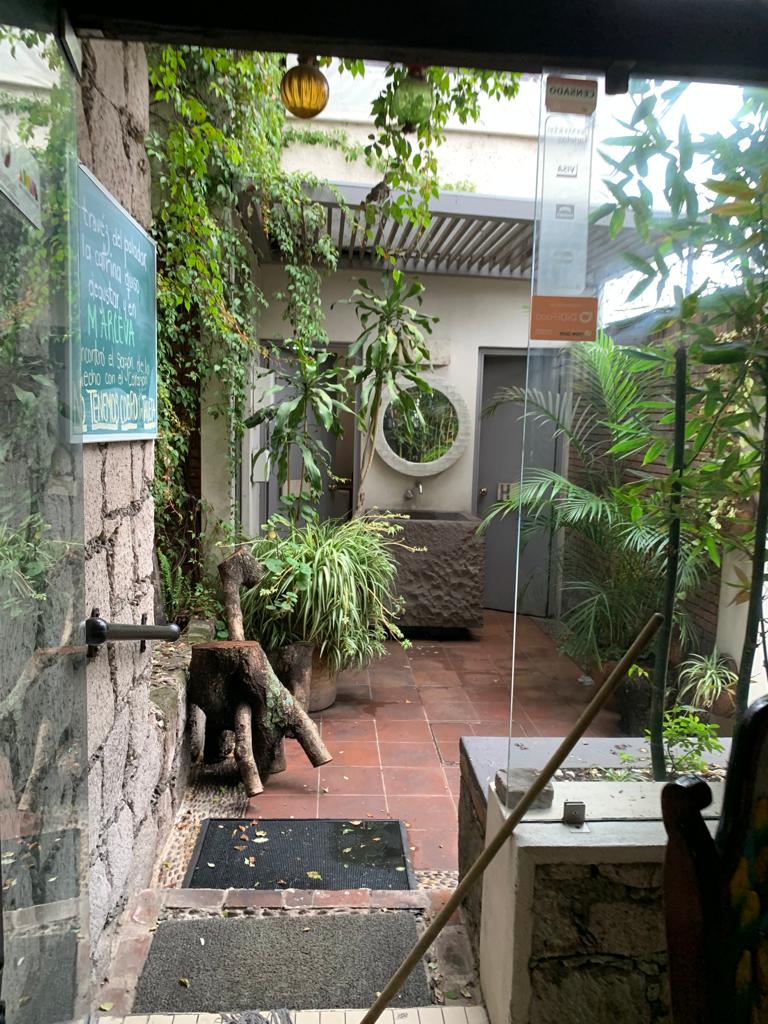 Fonda Marceva image 6