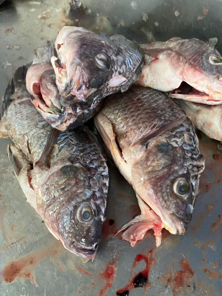 Mariscos Michoacan image 8