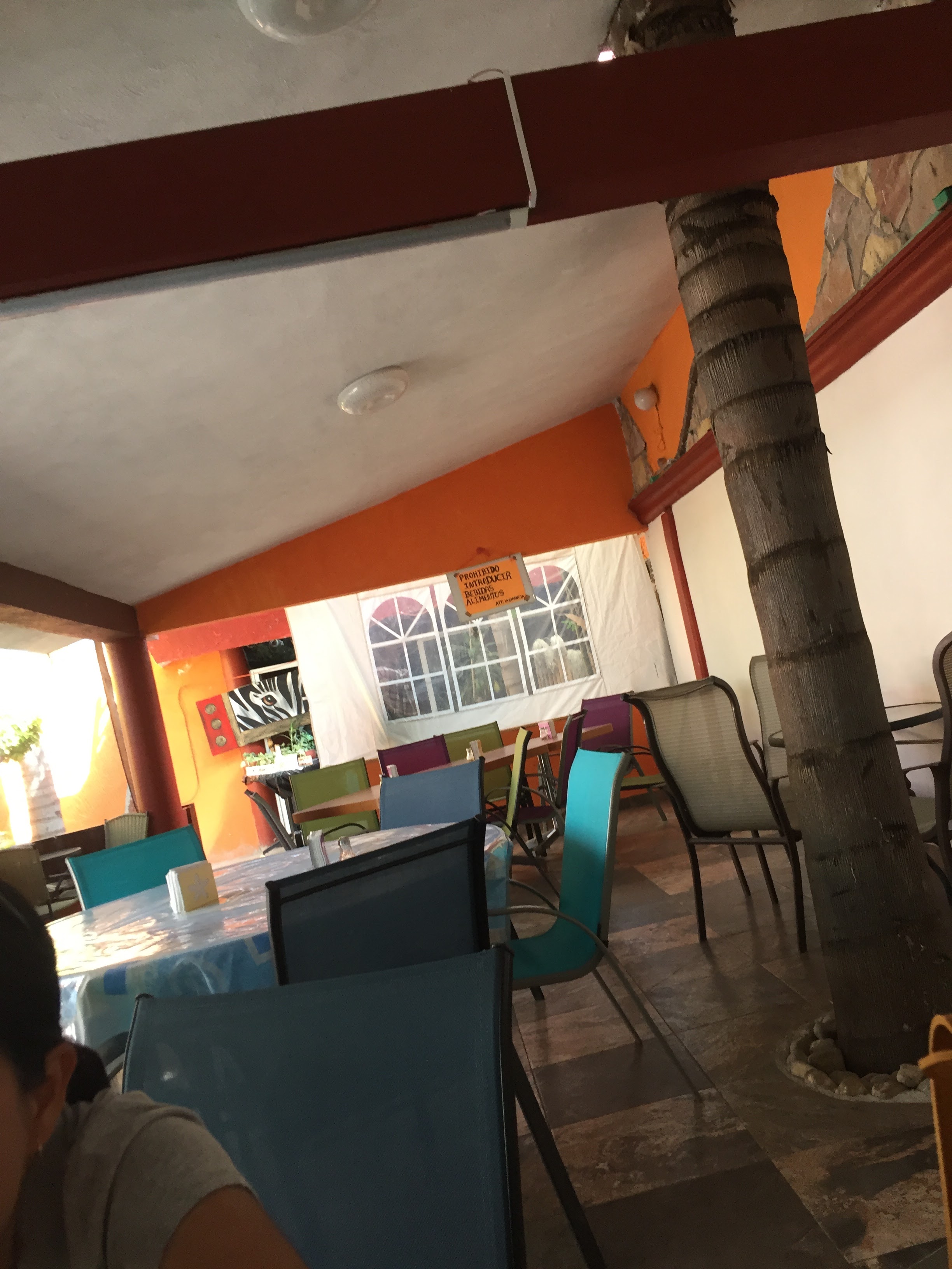 The Ponderosa image 2