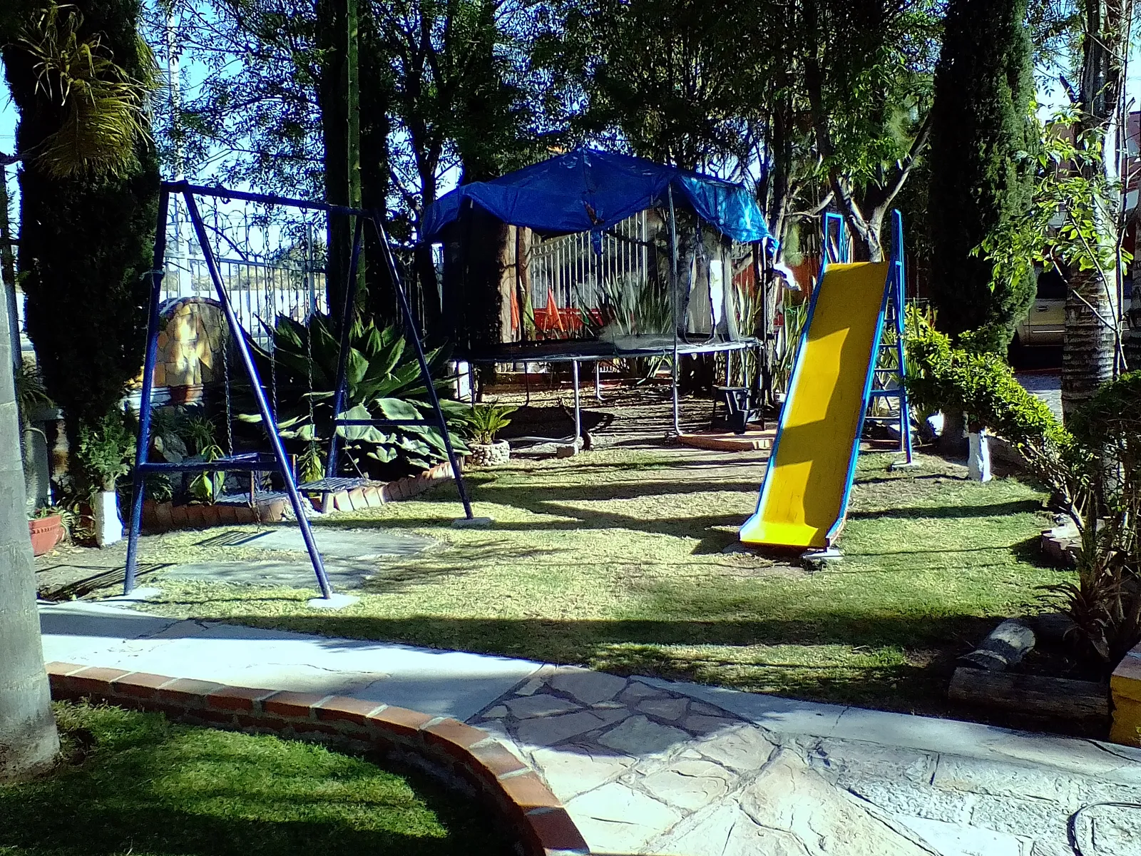 The Ponderosa image 7