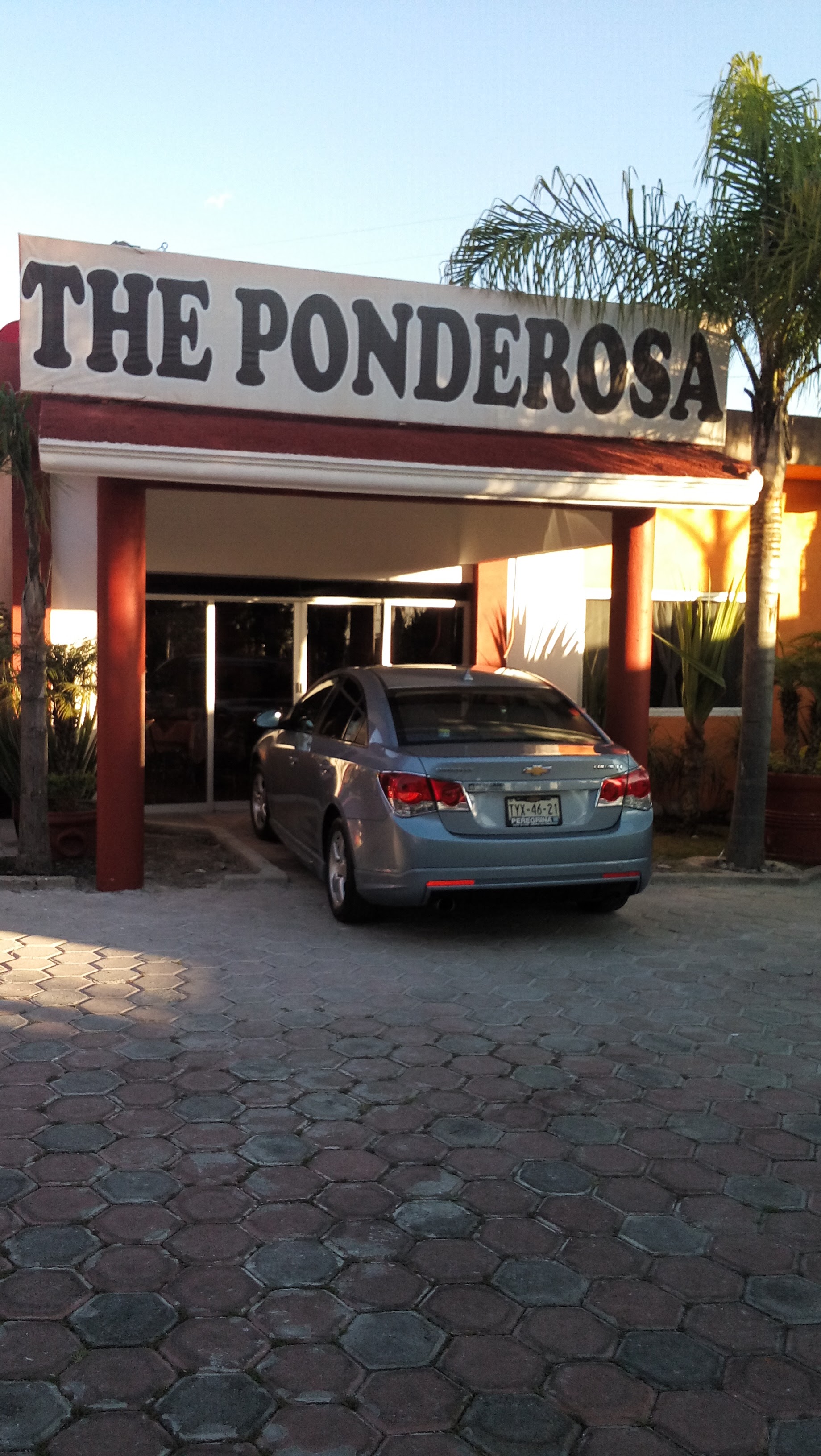 The Ponderosa image 8