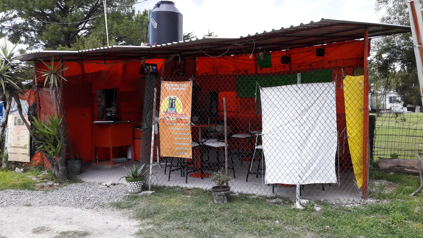 Tacos jarabes image 3