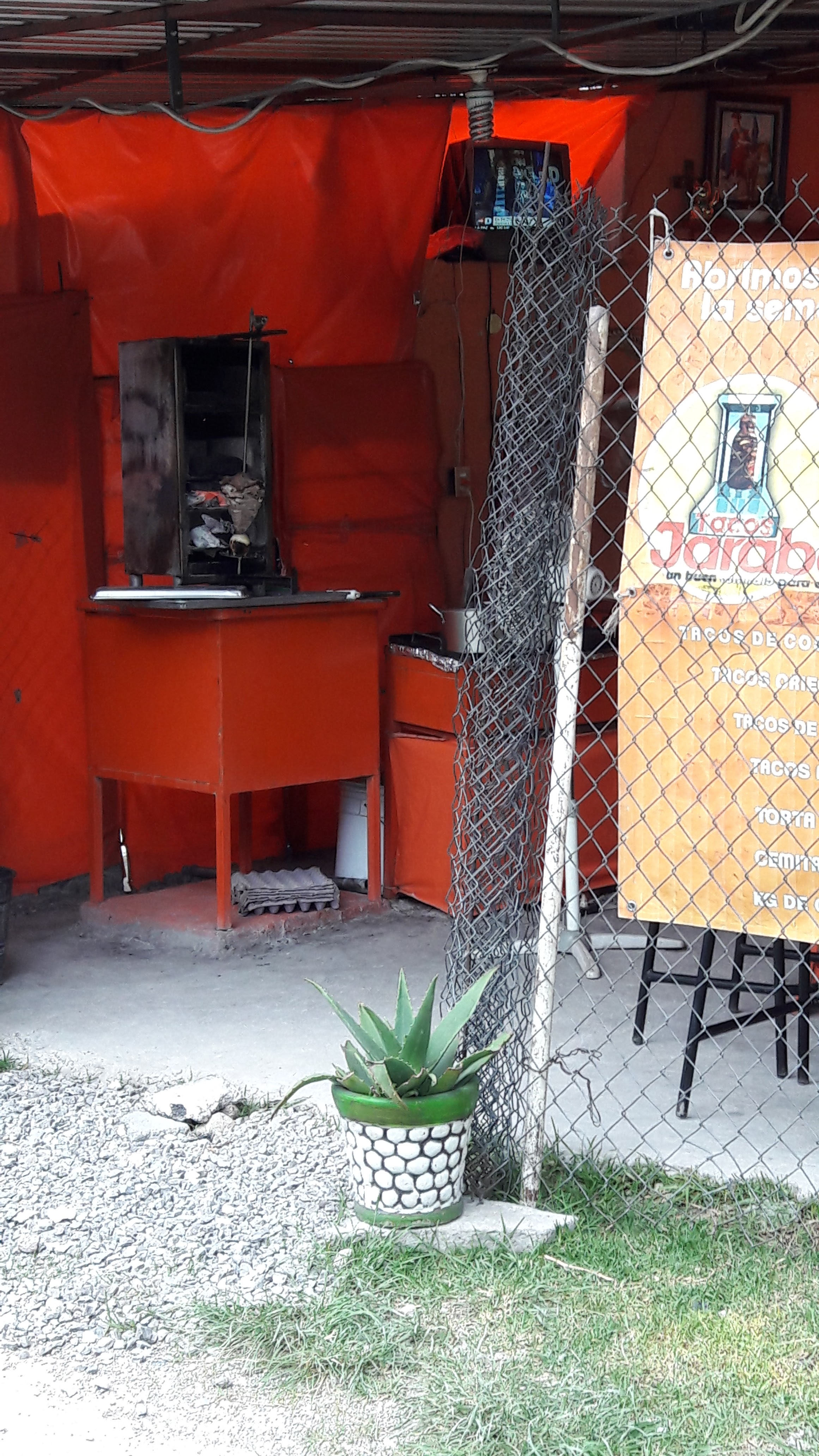 Tacos jarabes image 10