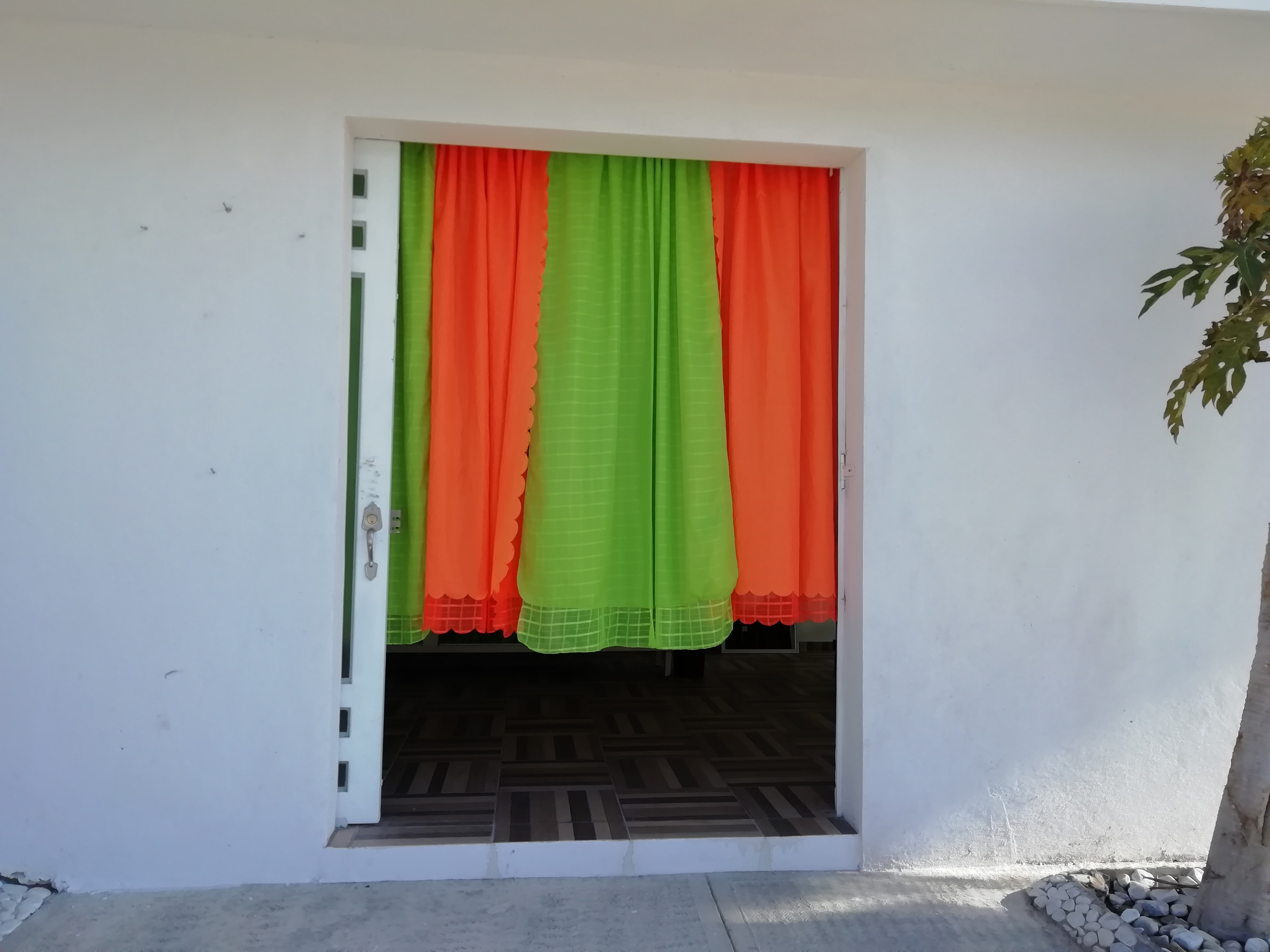 La jarra tropical luncheria's image 8