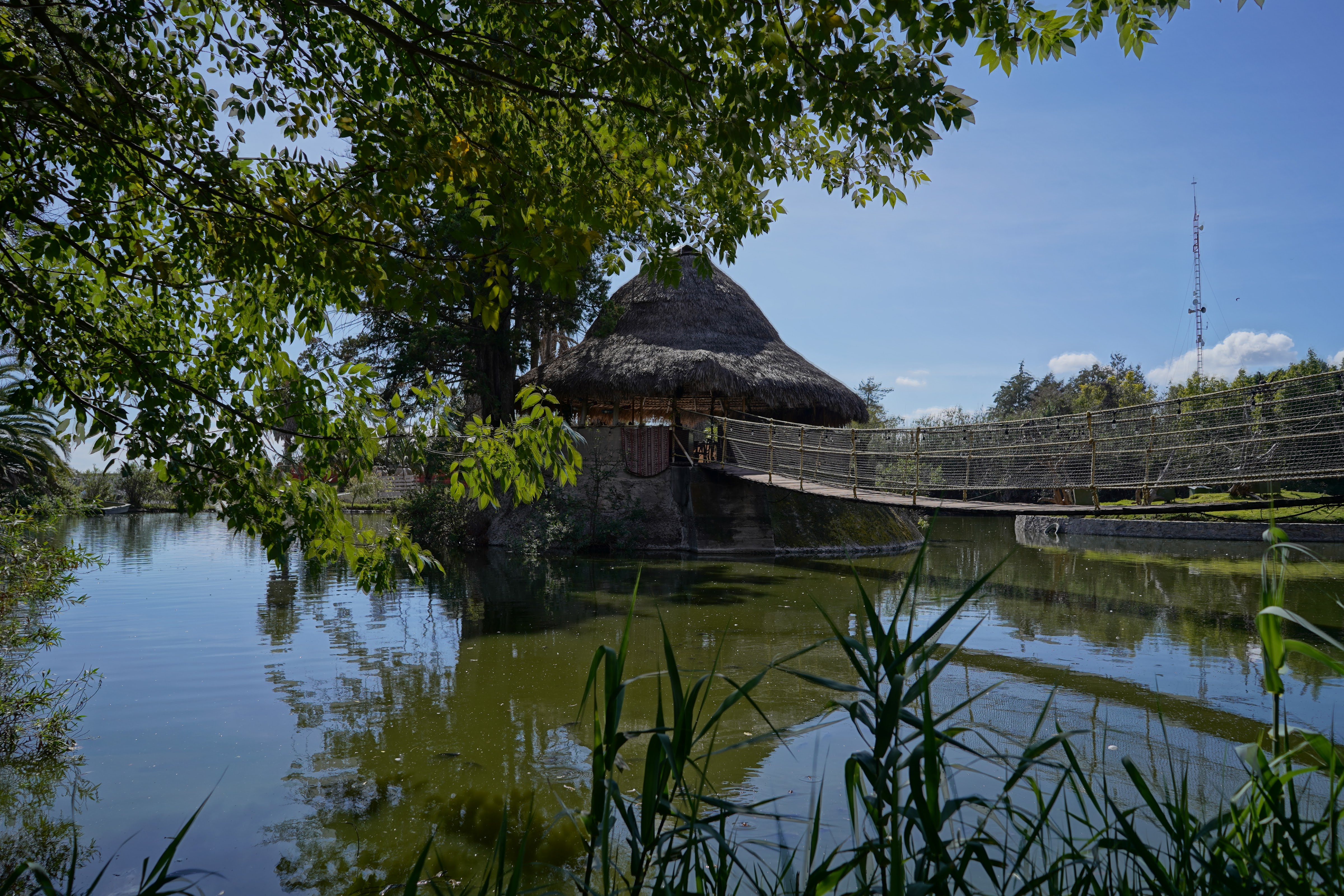 Restaurante Kilimanjaro Africam Safari image 4