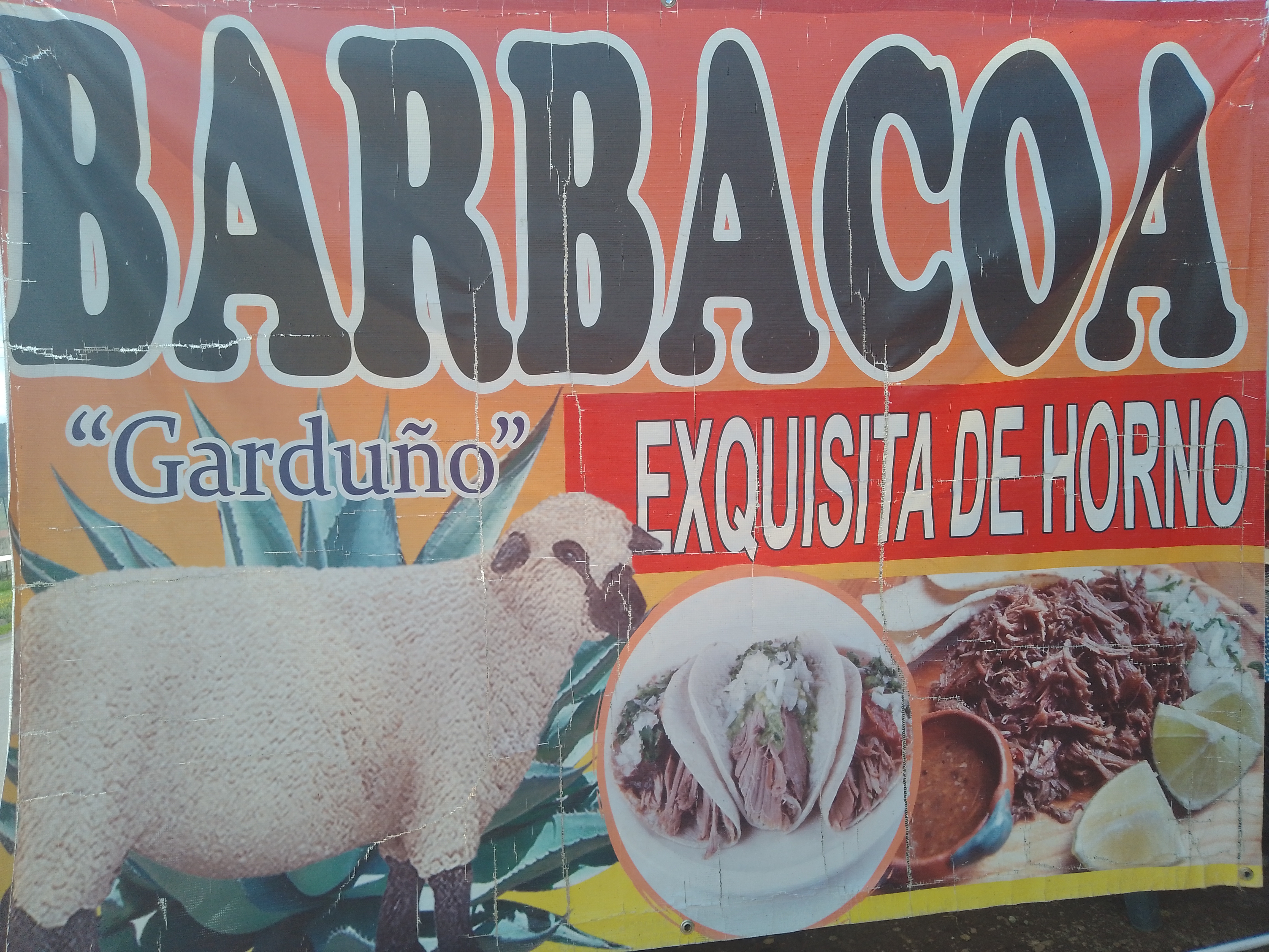 Barbacoa Garduño image 1