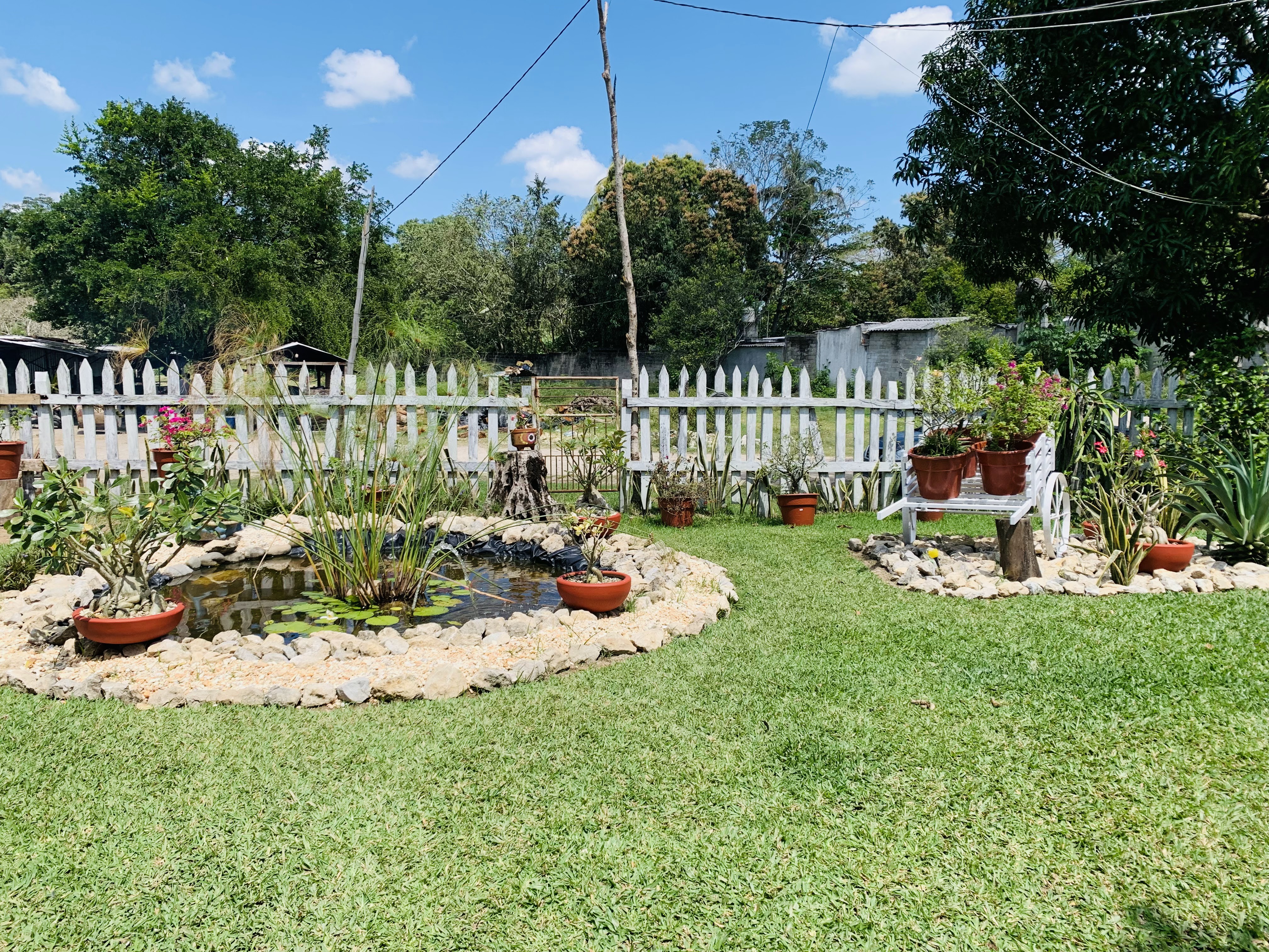 RESTAURANTE LA PASADITA image 3