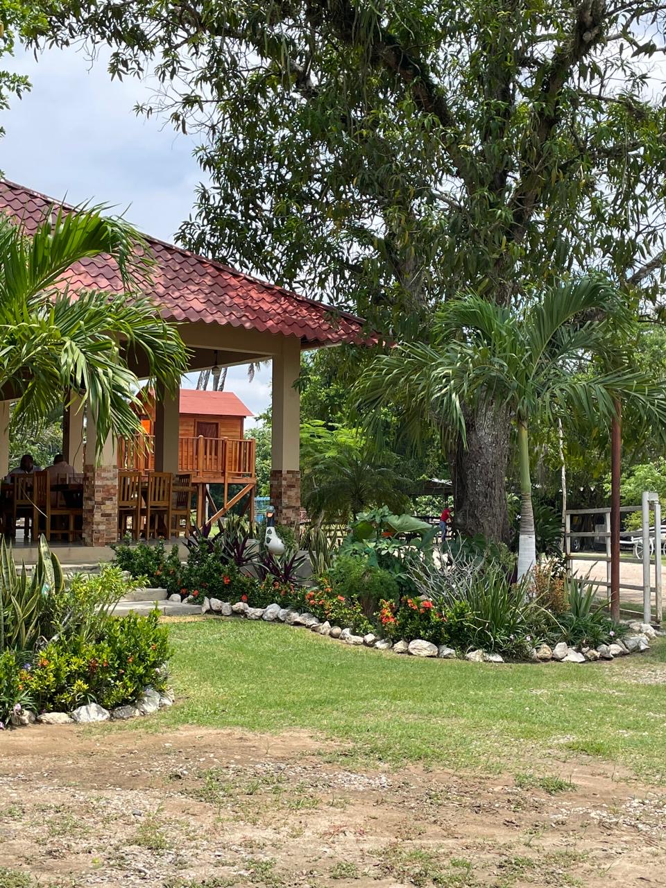 RESTAURANTE LA PASADITA image 8