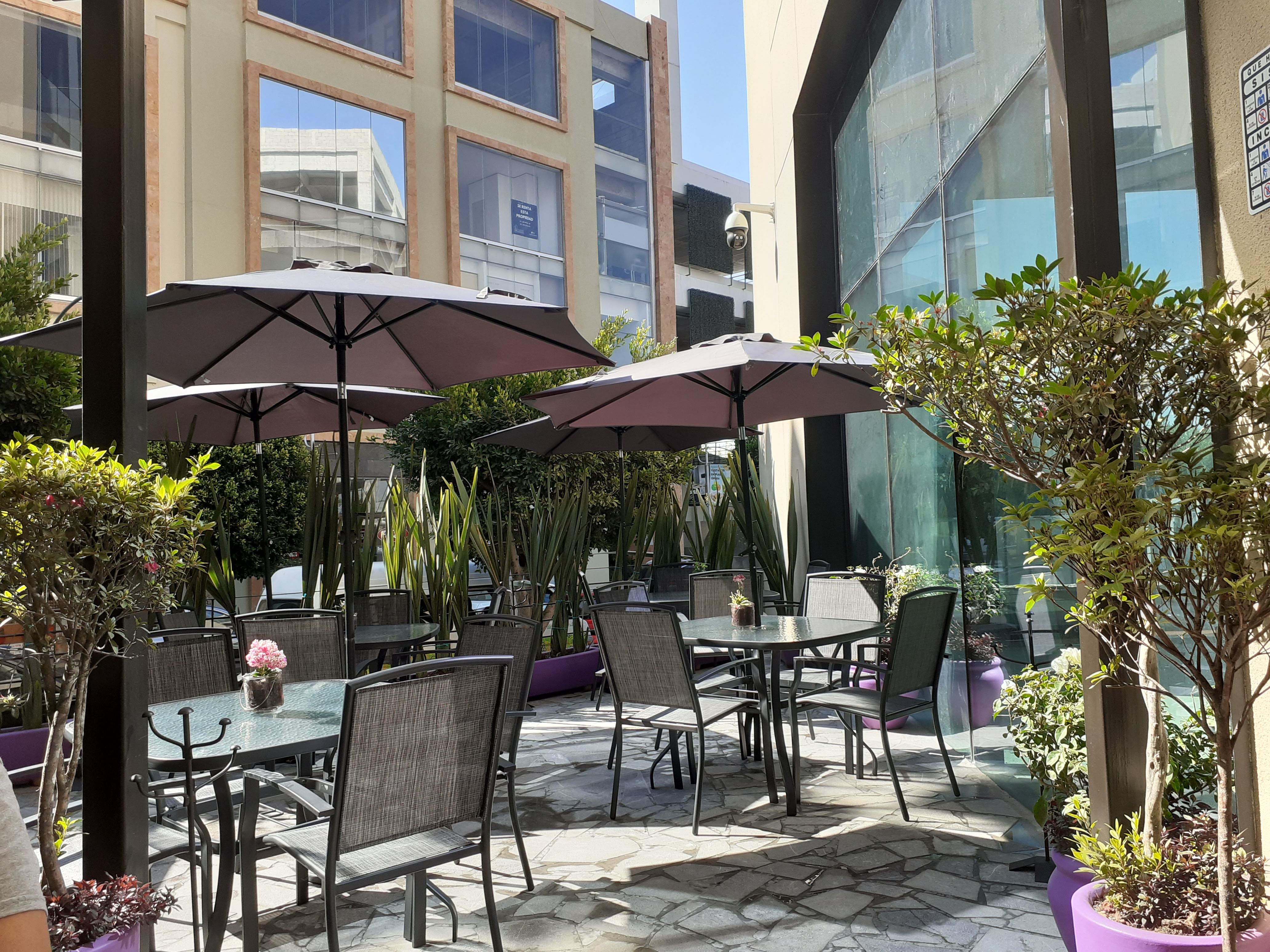 Magnolia Boutique Gastronómica image 1