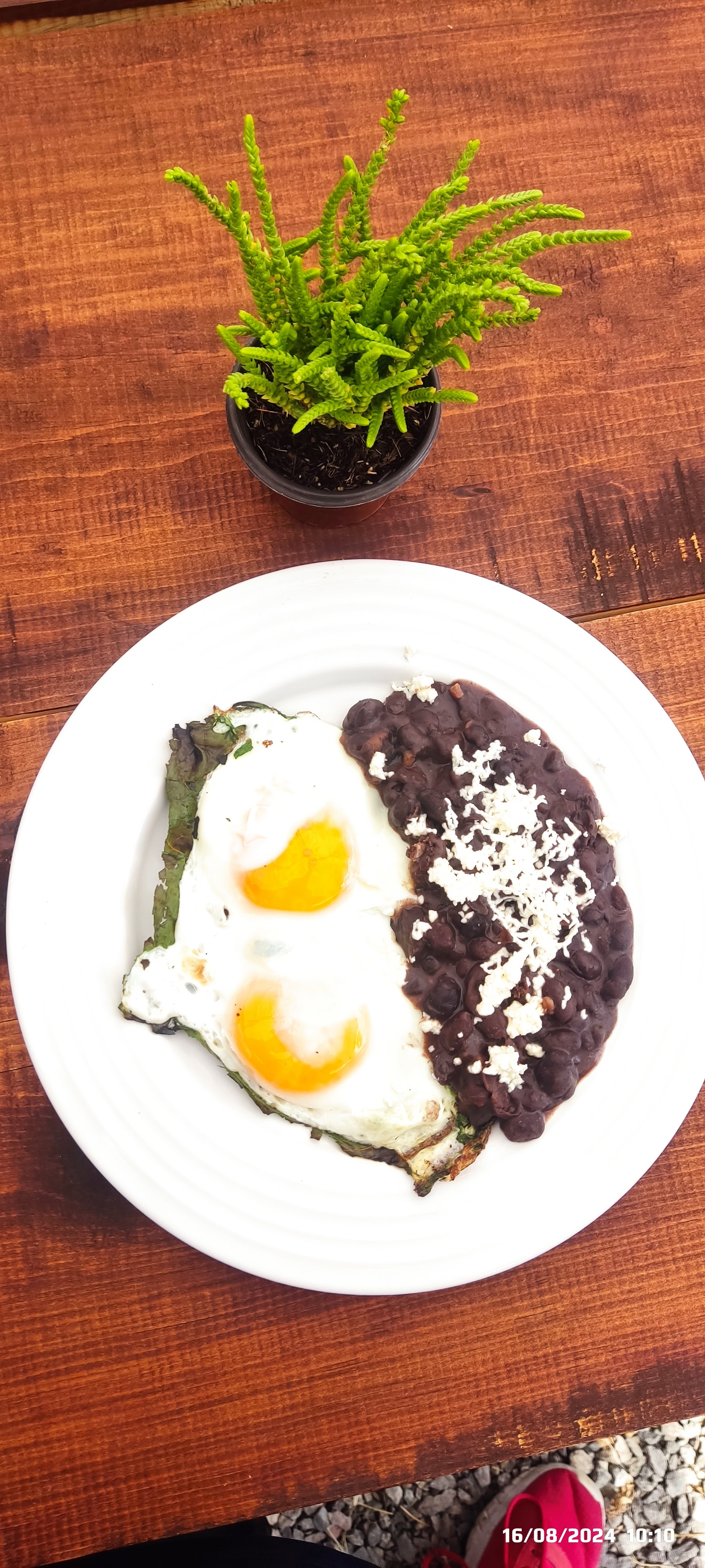 Casa La Oaxaqueña. image 5