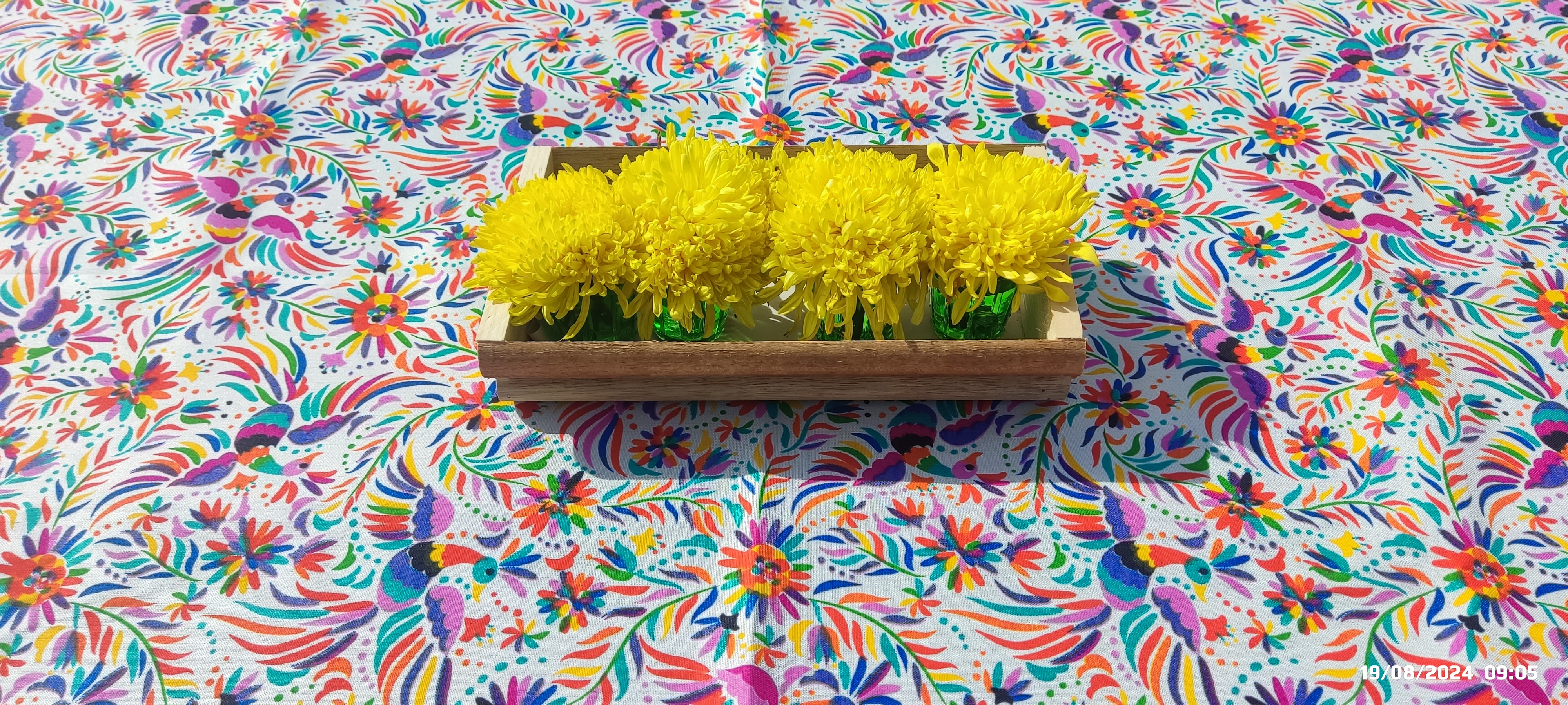 Casa La Oaxaqueña. image 6