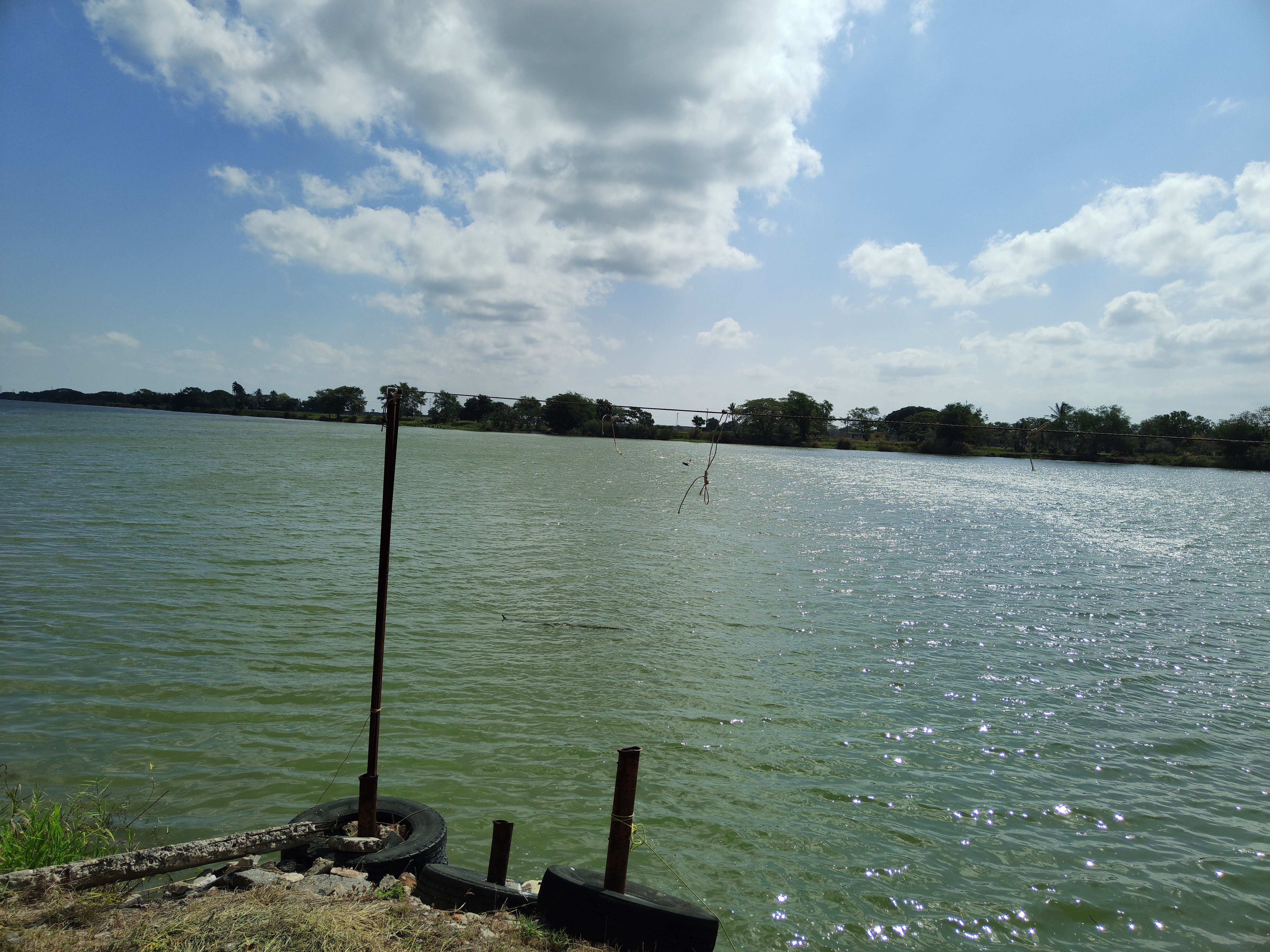 Restaurante Anilú image 2