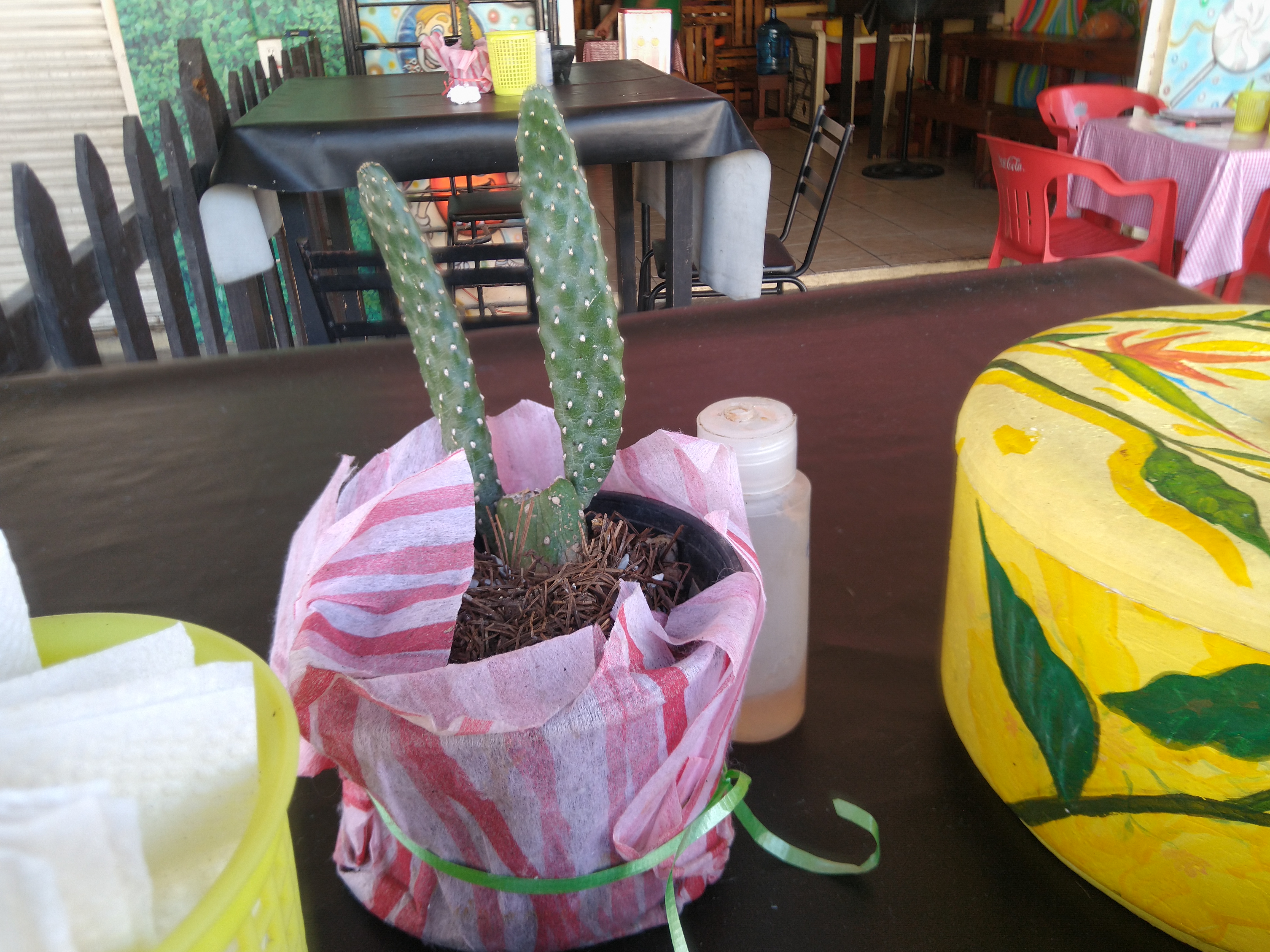 Restaurant La Mexicana image 5