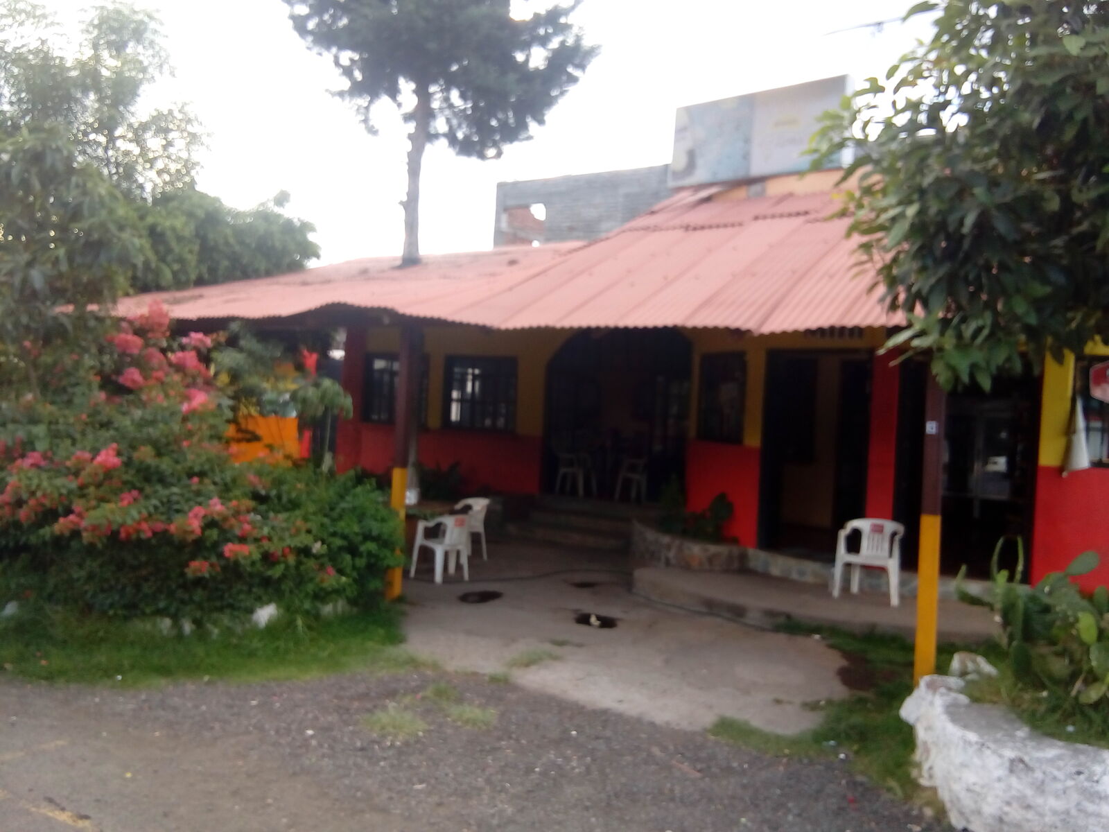 Restaurante "Támacuaro" image 1