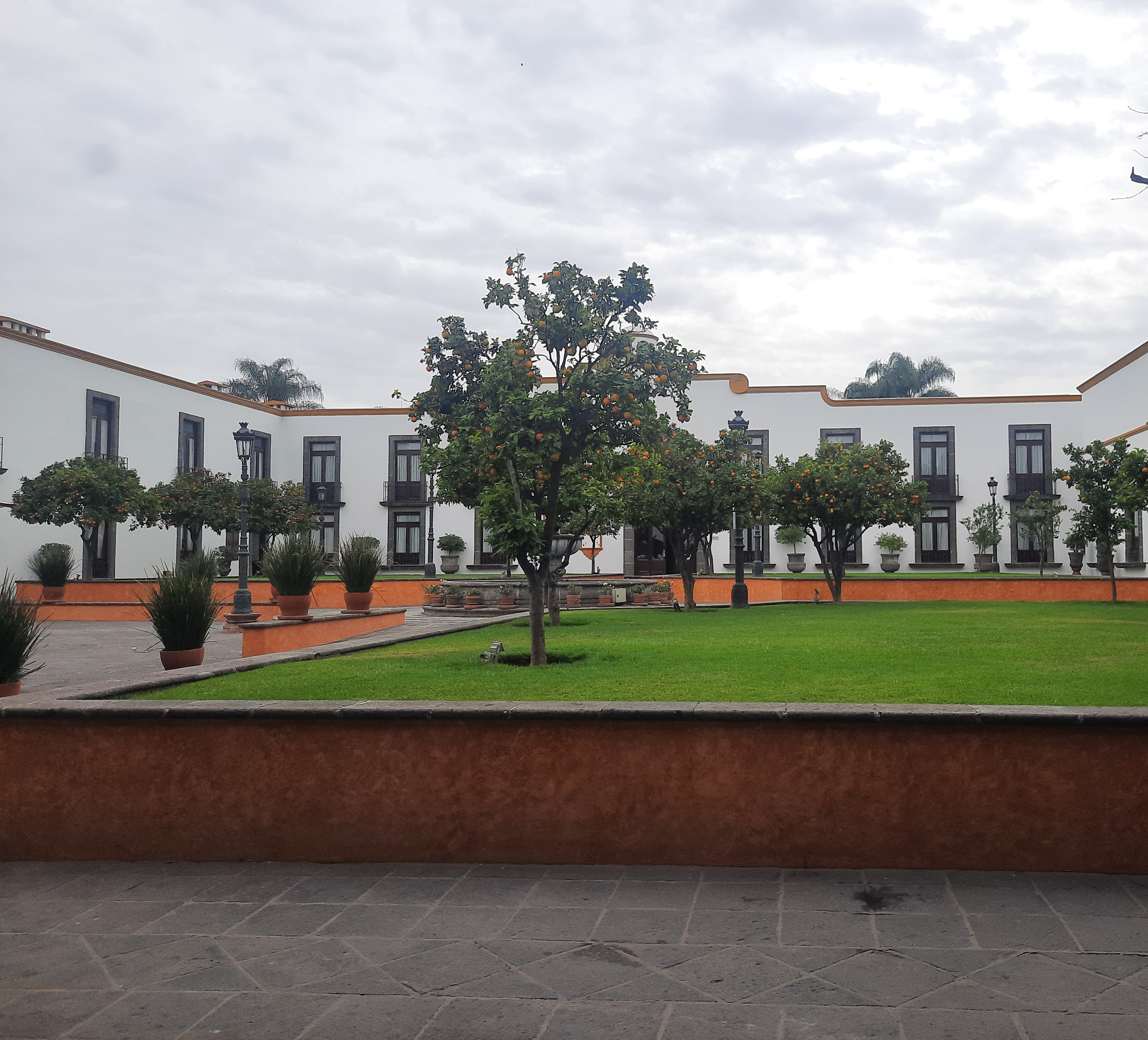 Restaurante La Casa Del Naranjo image 6