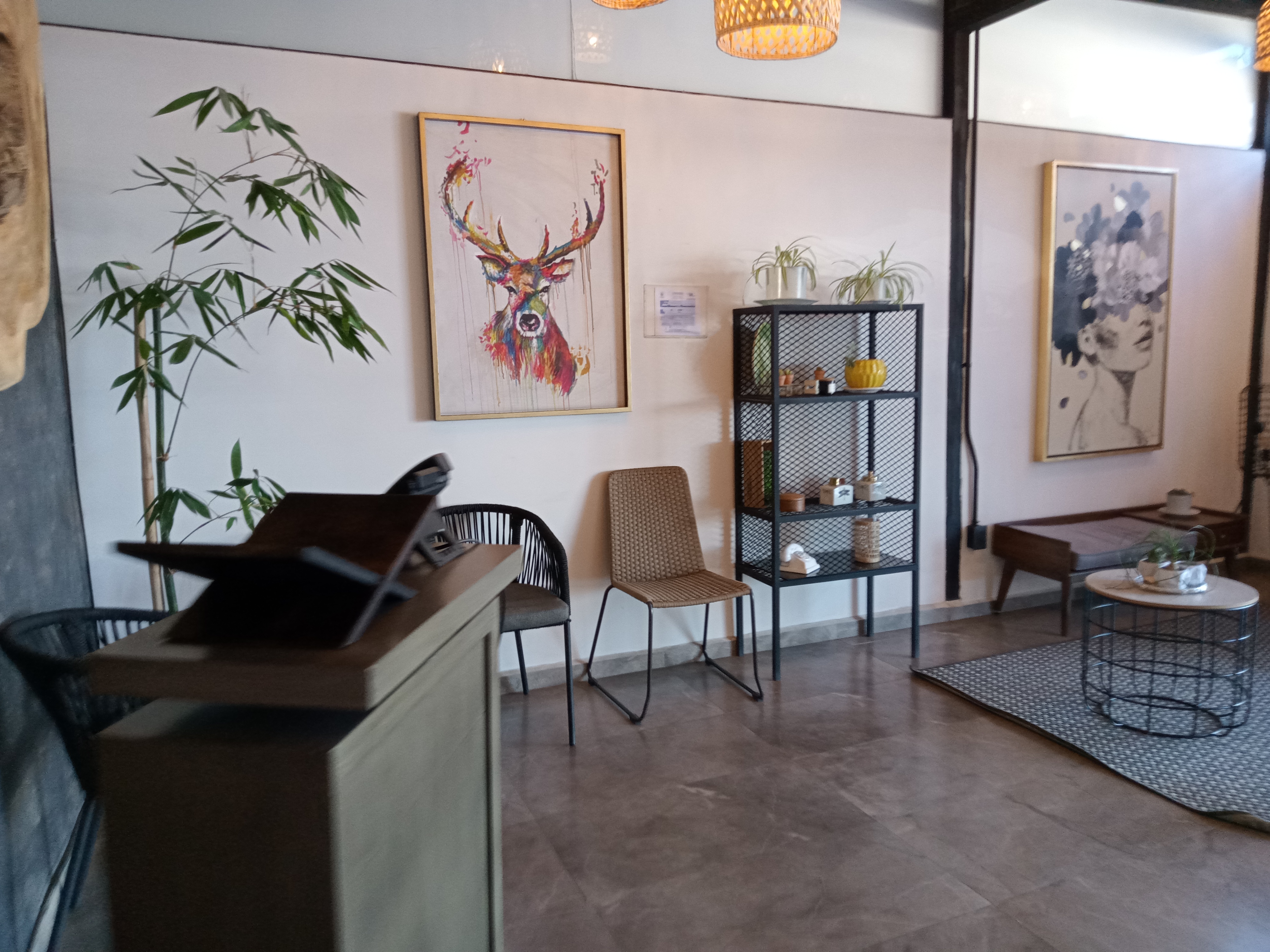 RESTAURANTE LA TAYUELA SAN JUAN DEL RIO, QRO. image 6