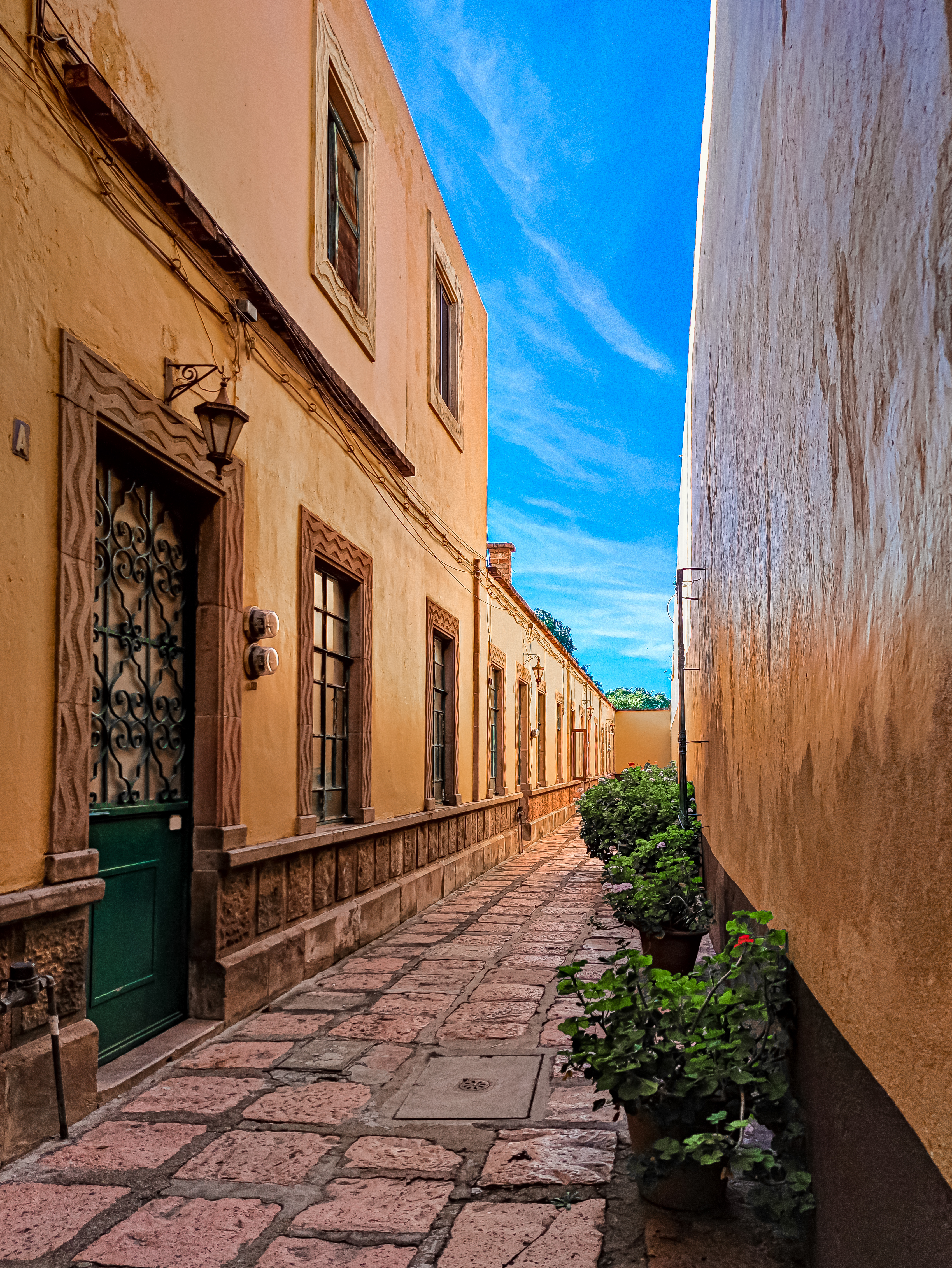 Restaurante El Patio image 8