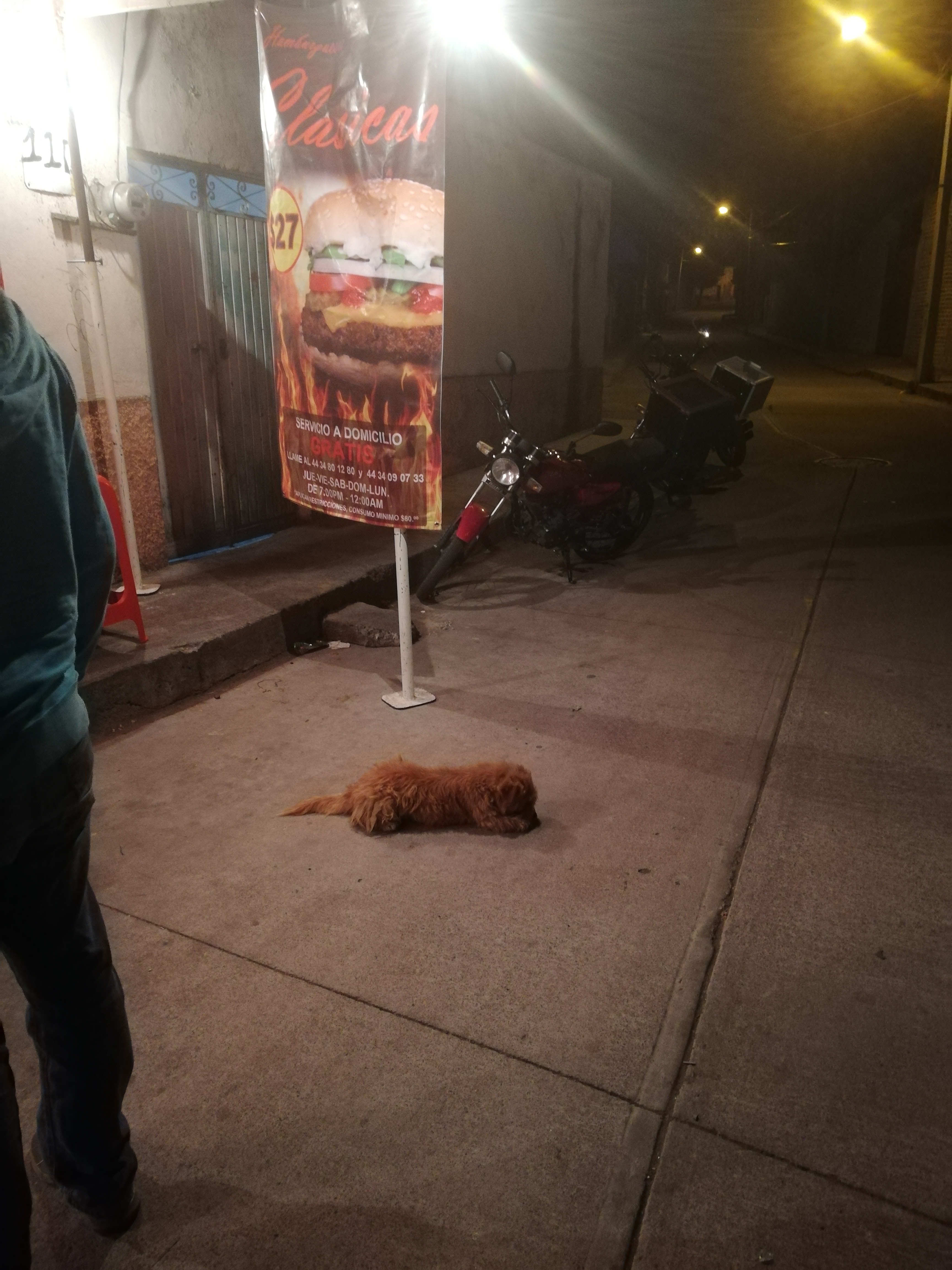 Hamburguesas Clasicas image 2