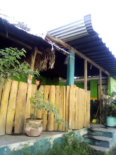 La Palapa de Pedro image 4