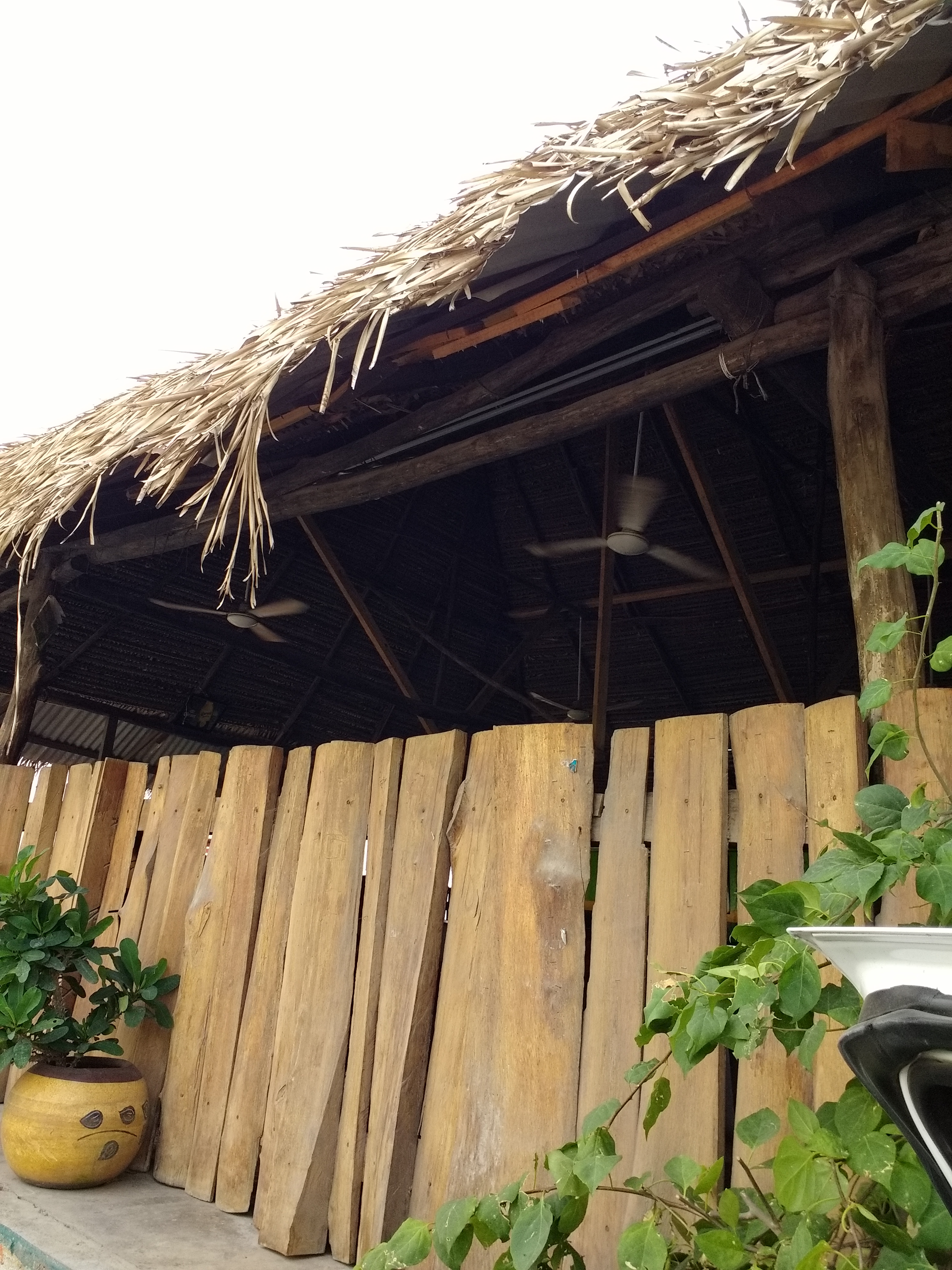 La Palapa de Pedro image 7