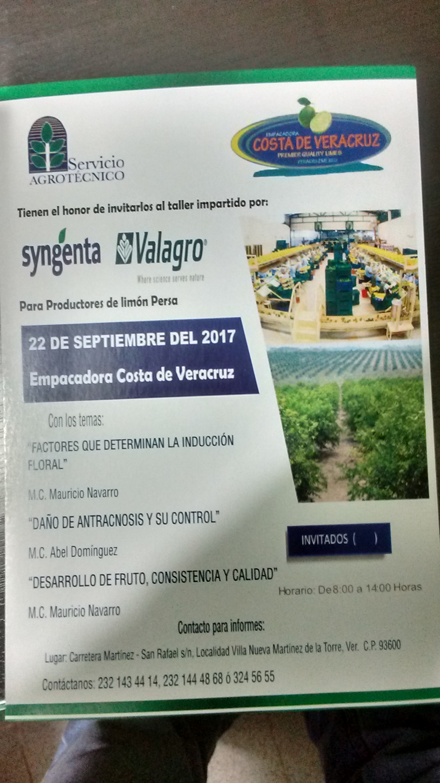 La Palapa de Pedro image 9