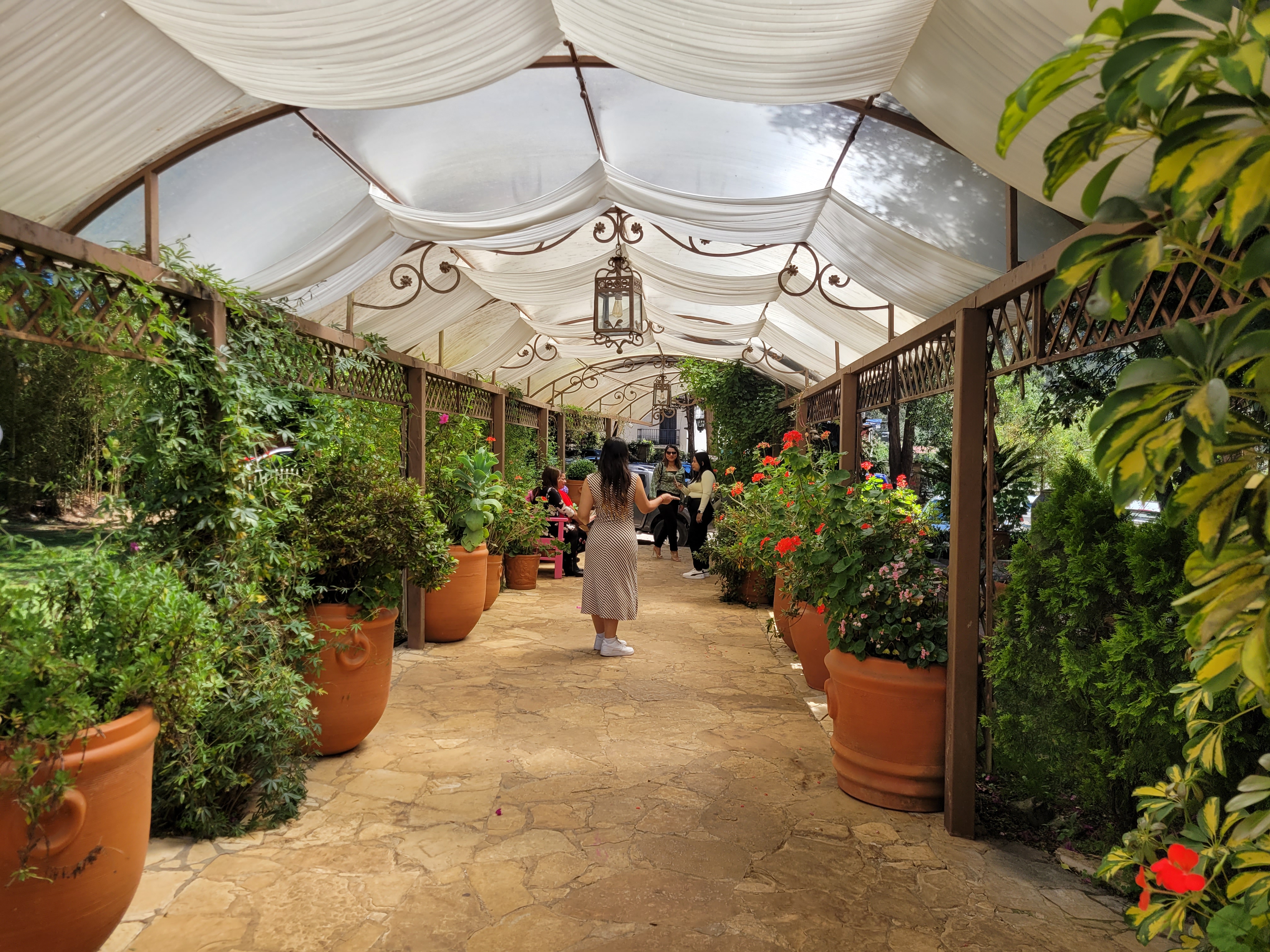 Jardines de San Cristóbal image 4